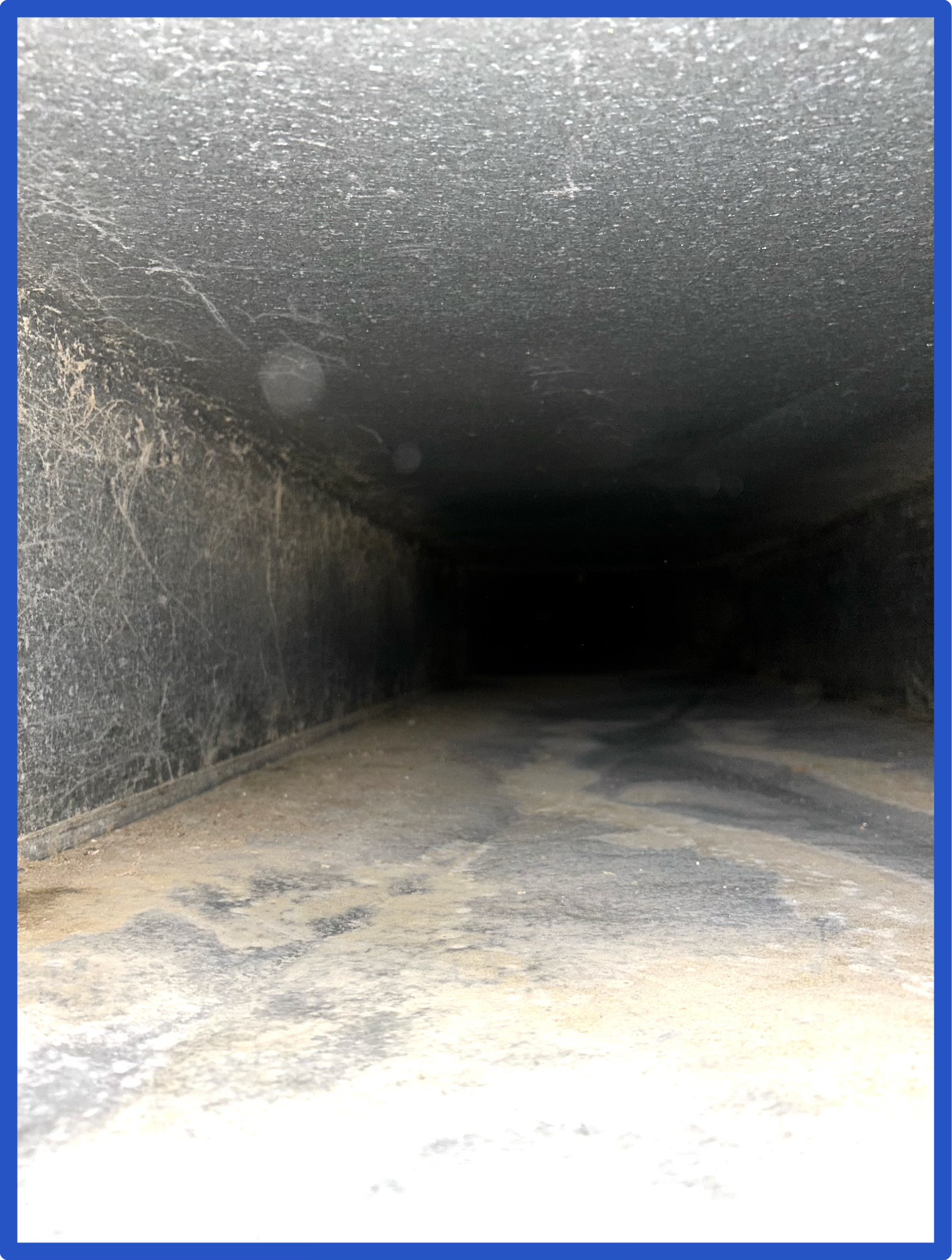 Image 2-4-26 at 4.18 AM