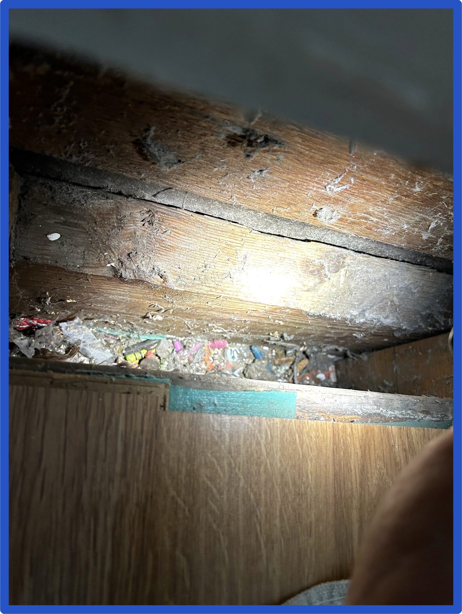 Image 2-4-26 at 4.18 AM (1)