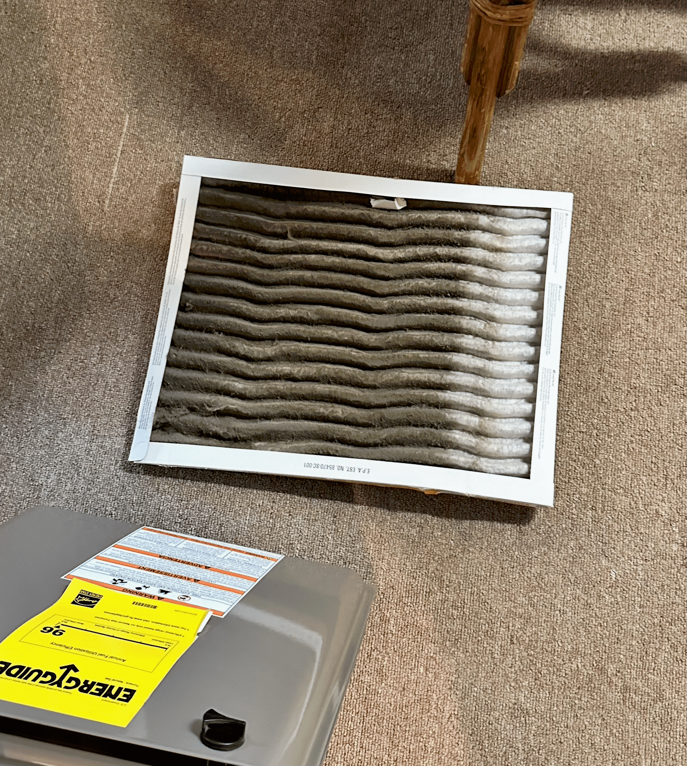 Image 2-4-26 at 4.41 AM (1)