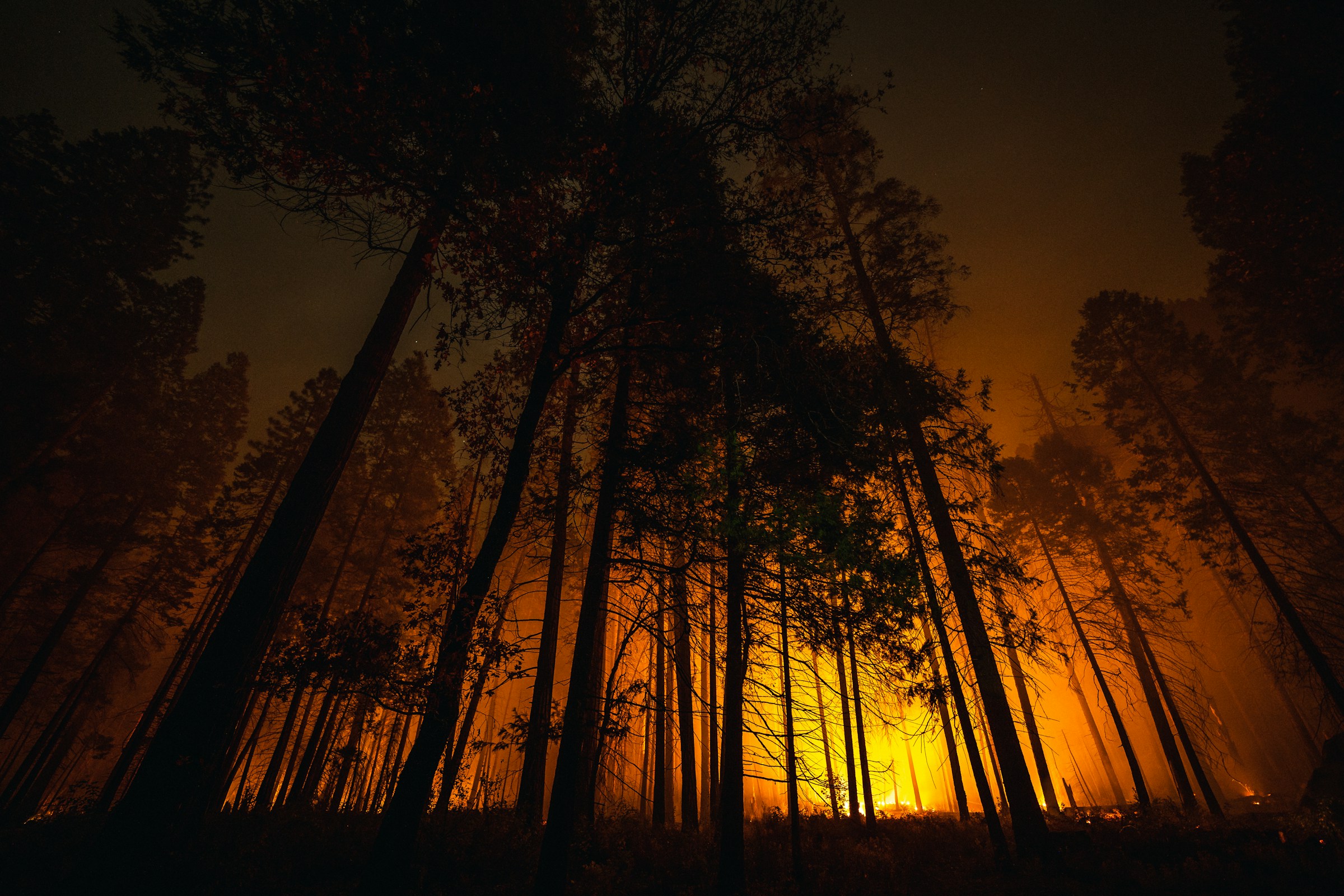 How Wildfire Zones Affect Home Insurance in Southern California