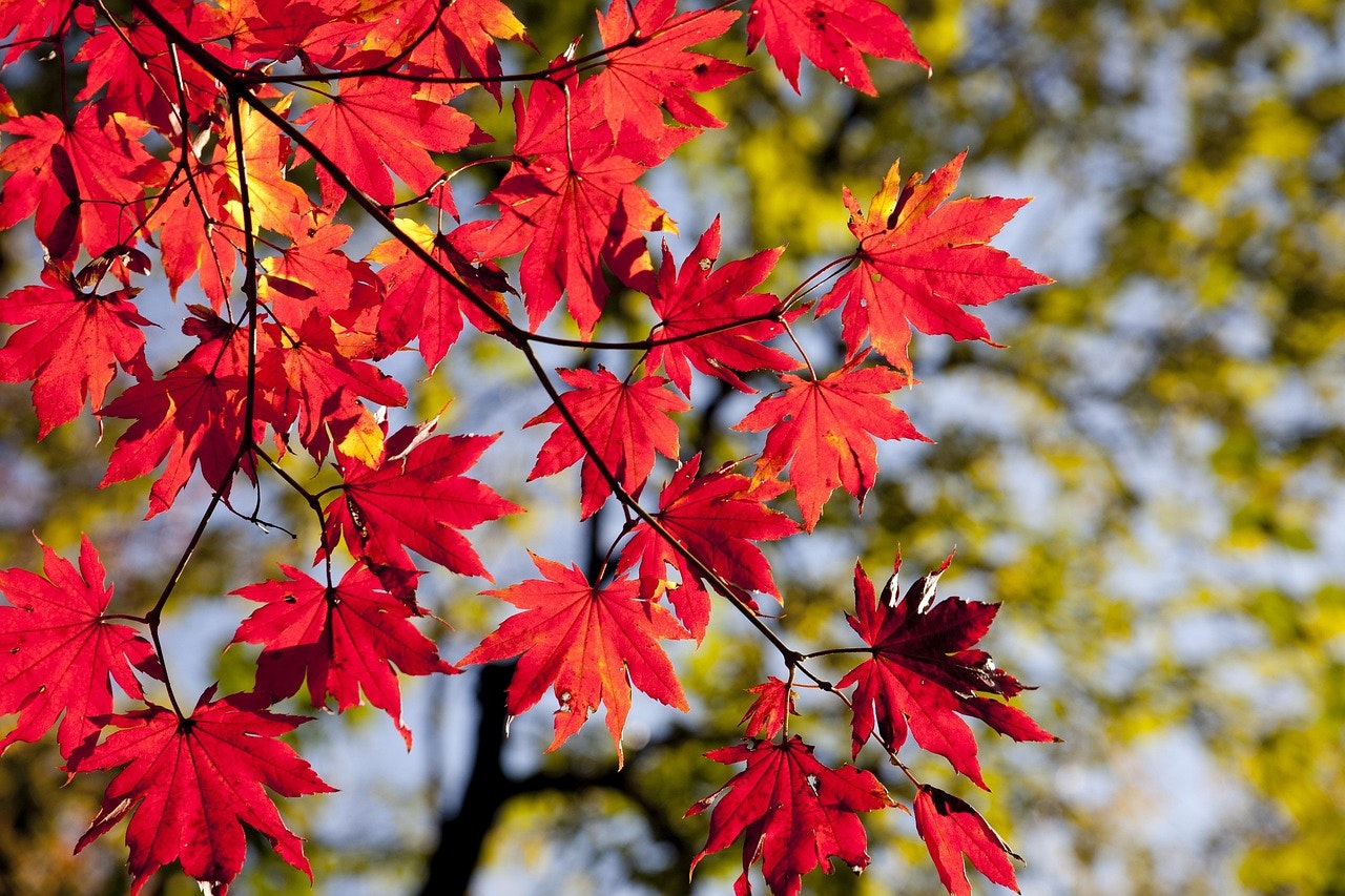 As the weather begins to cool in September and Massachusetts transitions into fall, it’s the ideal time to prepare your heating system for the months ahead. Whether you manage a commercial building...