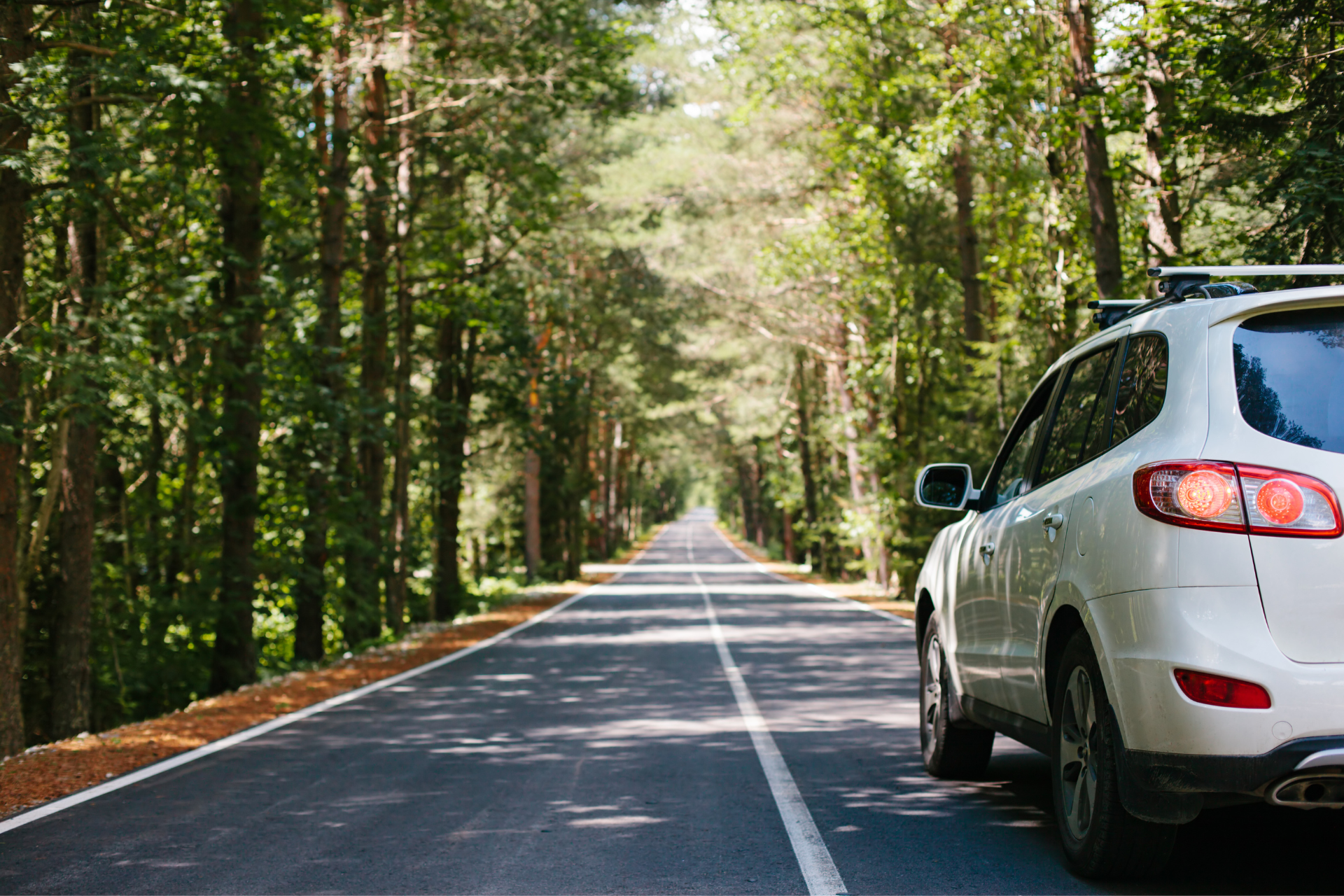 Is Rental Car Insurance Necessary?