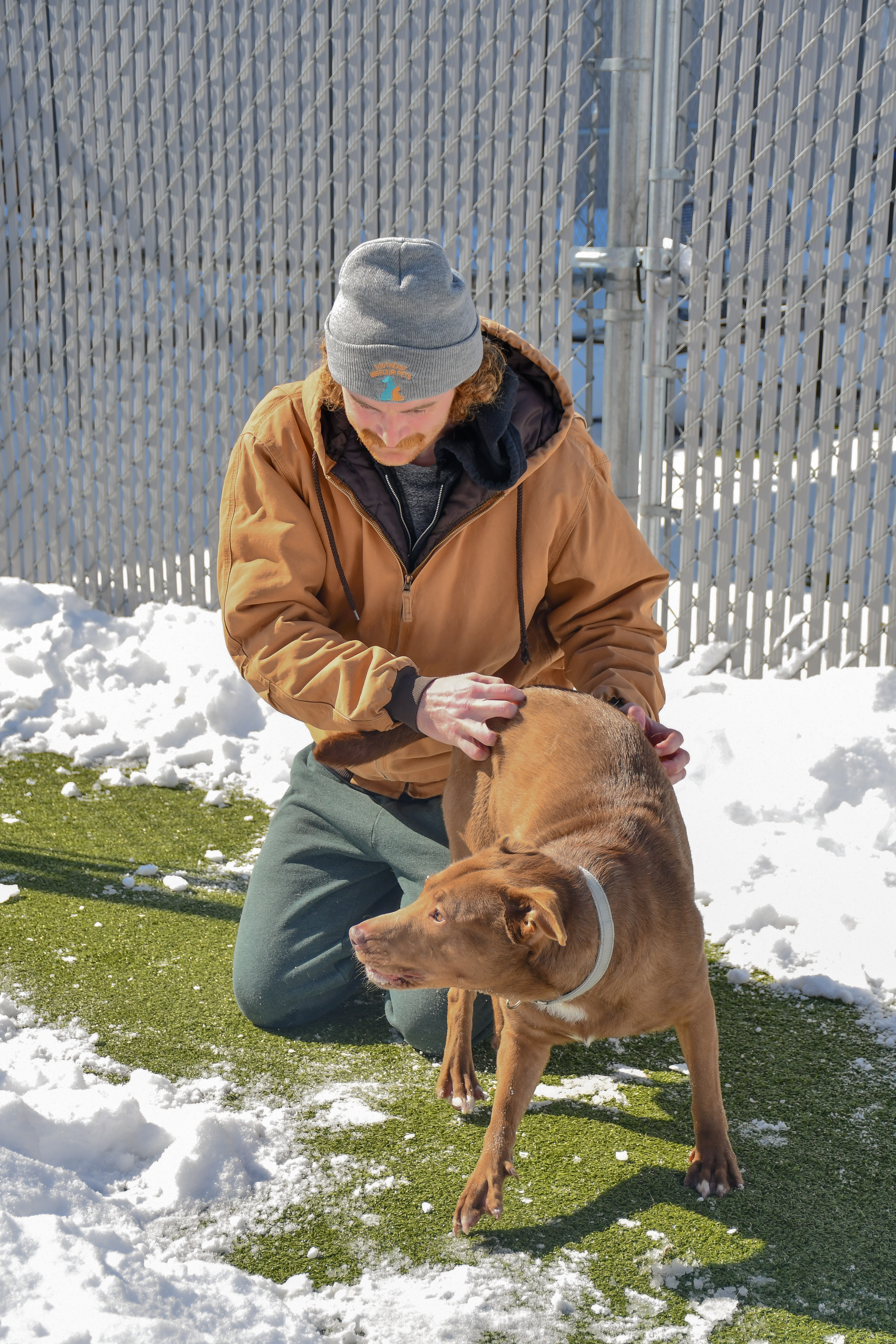 What It Means to Be a No-Kill Shelter in Southeast Missouri