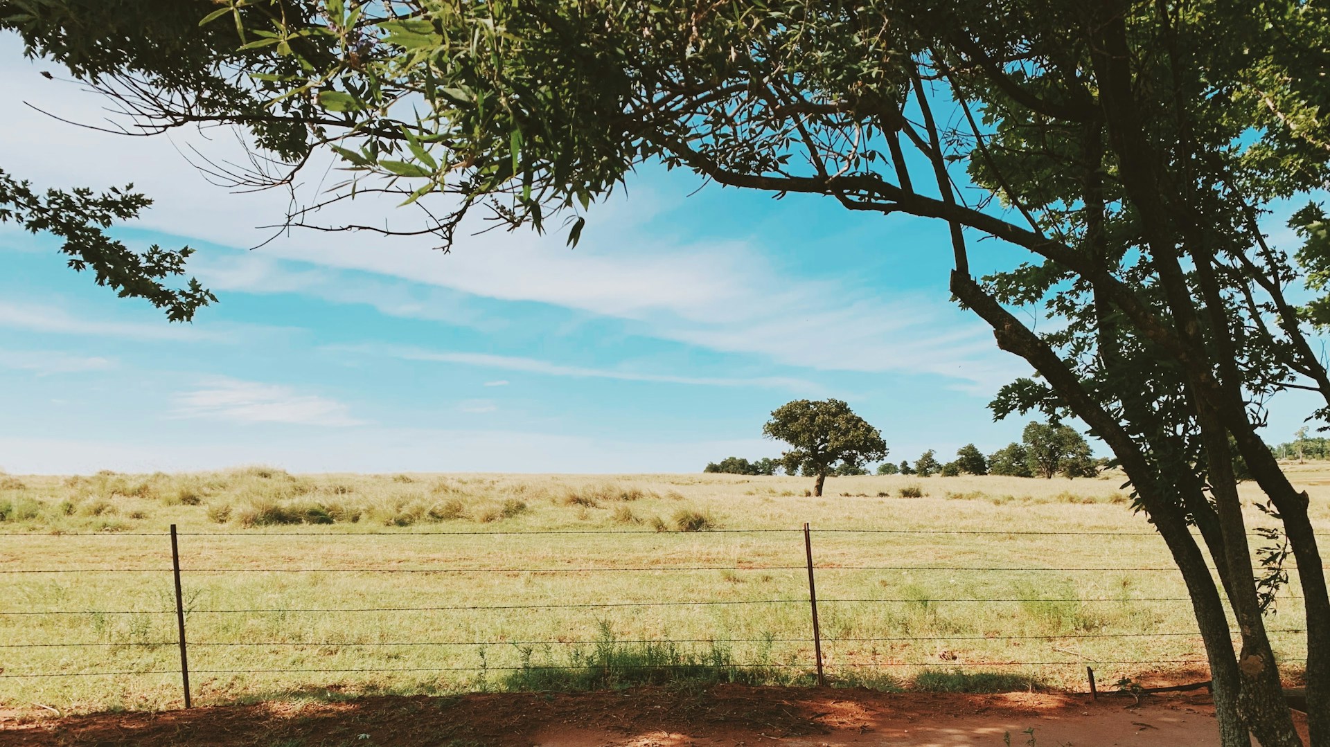 Do You Need an Abstract to Buy Property in Oklahoma? A Practical Guide for Buyers in Carter and Love Counties
