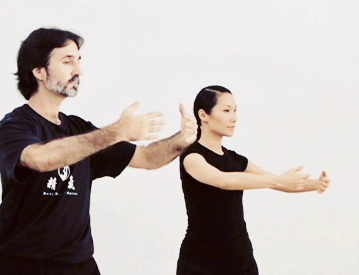 Five Elements Medical Qigong Master Class.