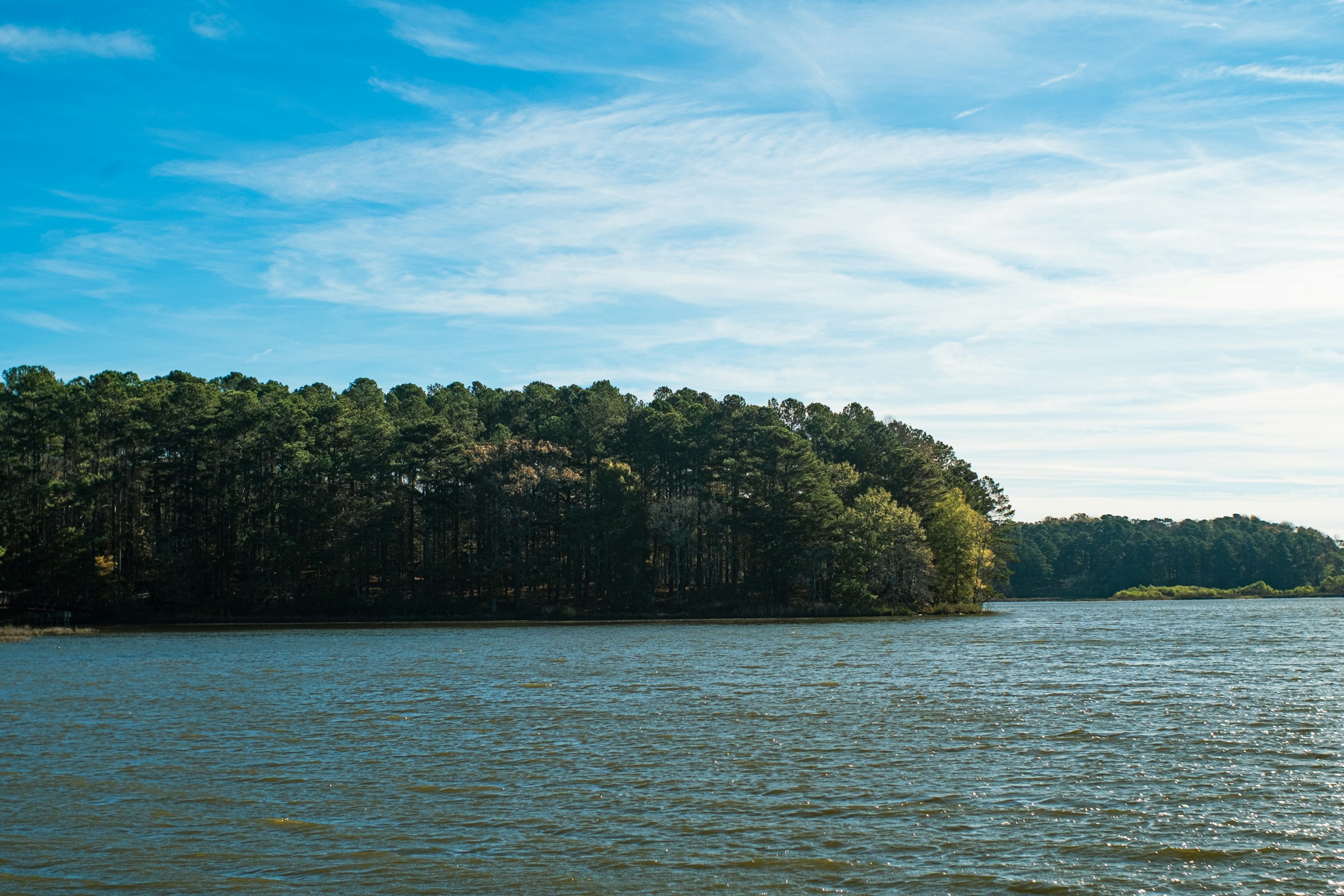 A man with a backpack is standing next to a lake in the woods.
