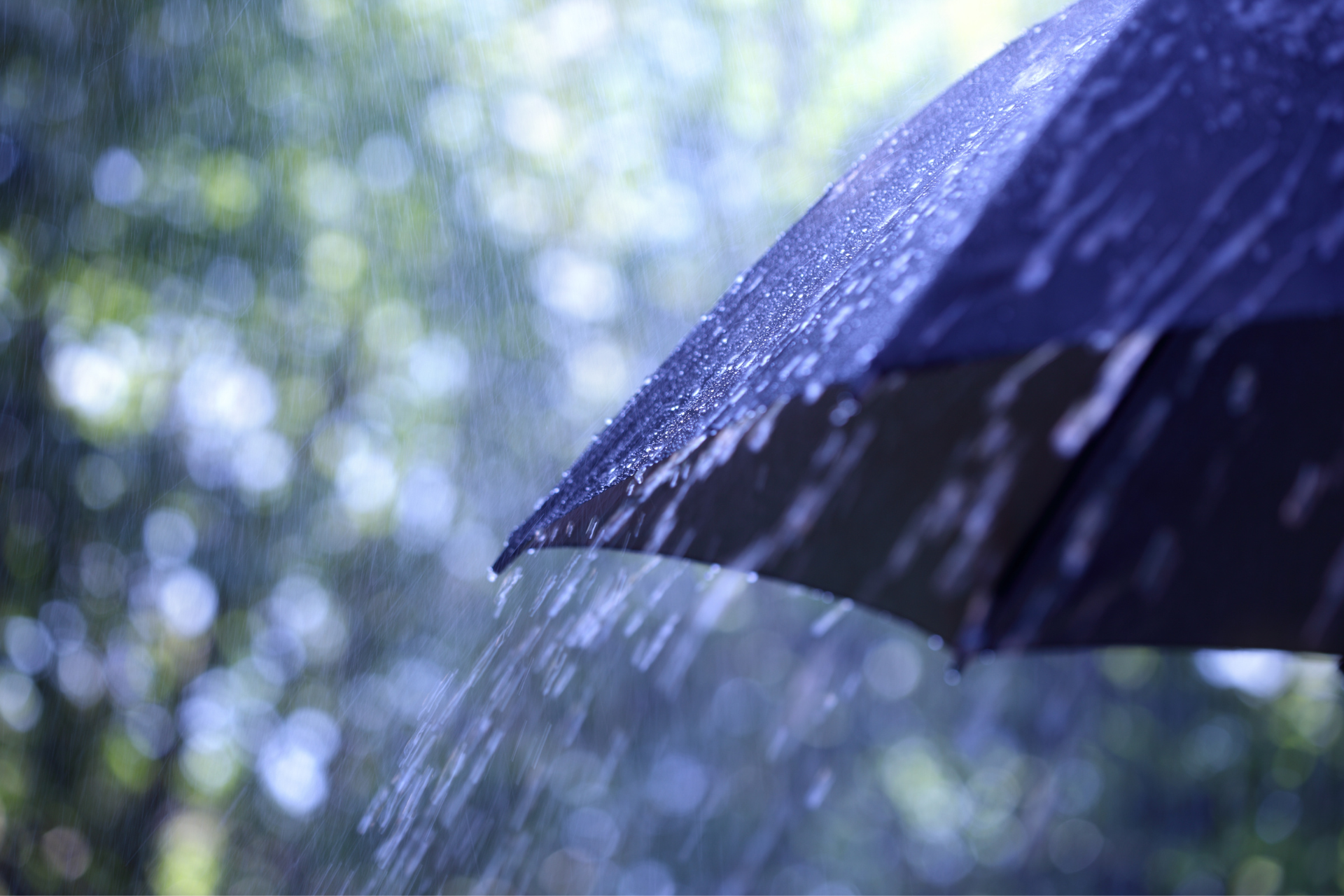 An Essential Guide to Umbrella Insurance
