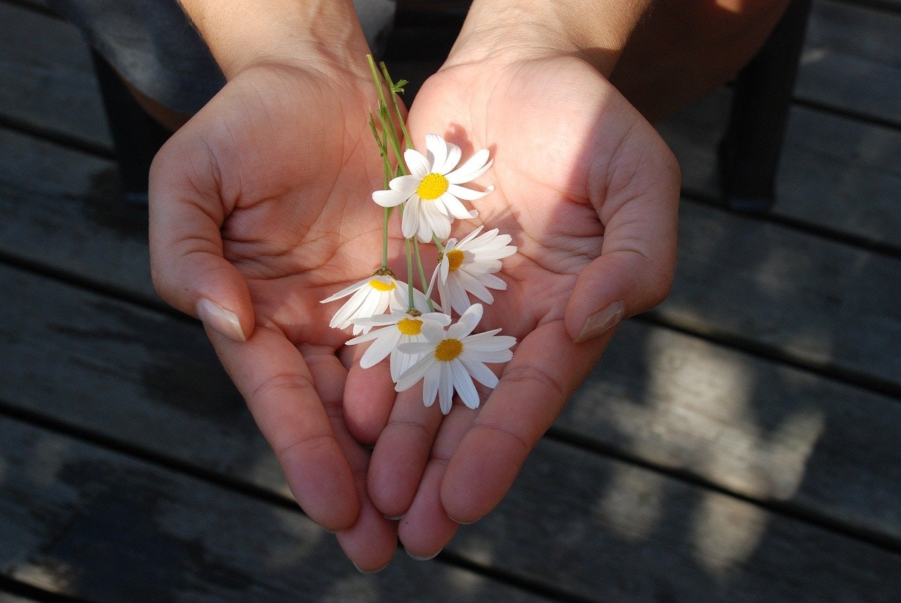 Exploring Charitable Giving Options for Maximum Impact