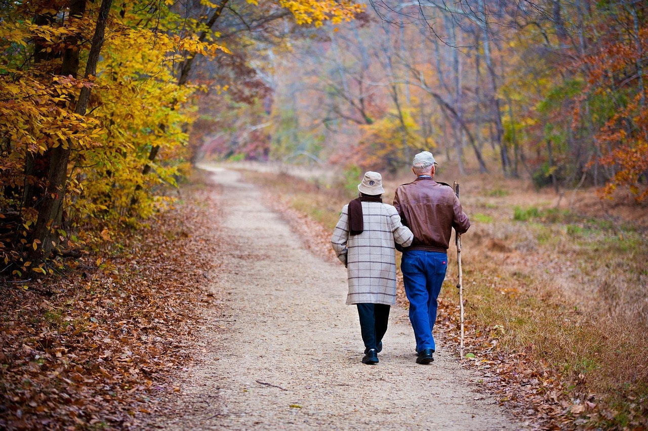 Medigap vs. Medicare Advantage: Costs, Networks, and Tradeoffs