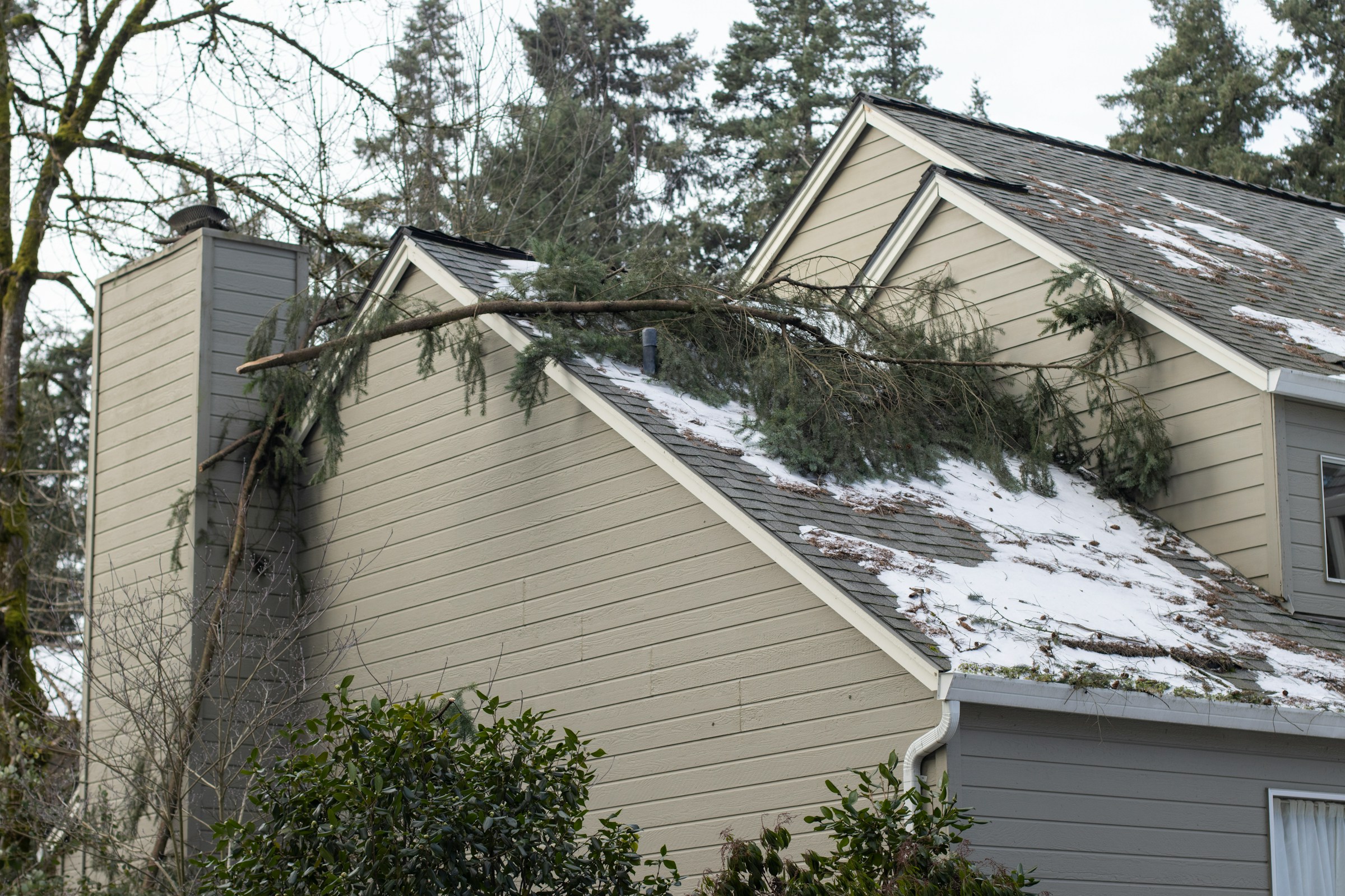 House with fallen tree branch on roof after snowstorm