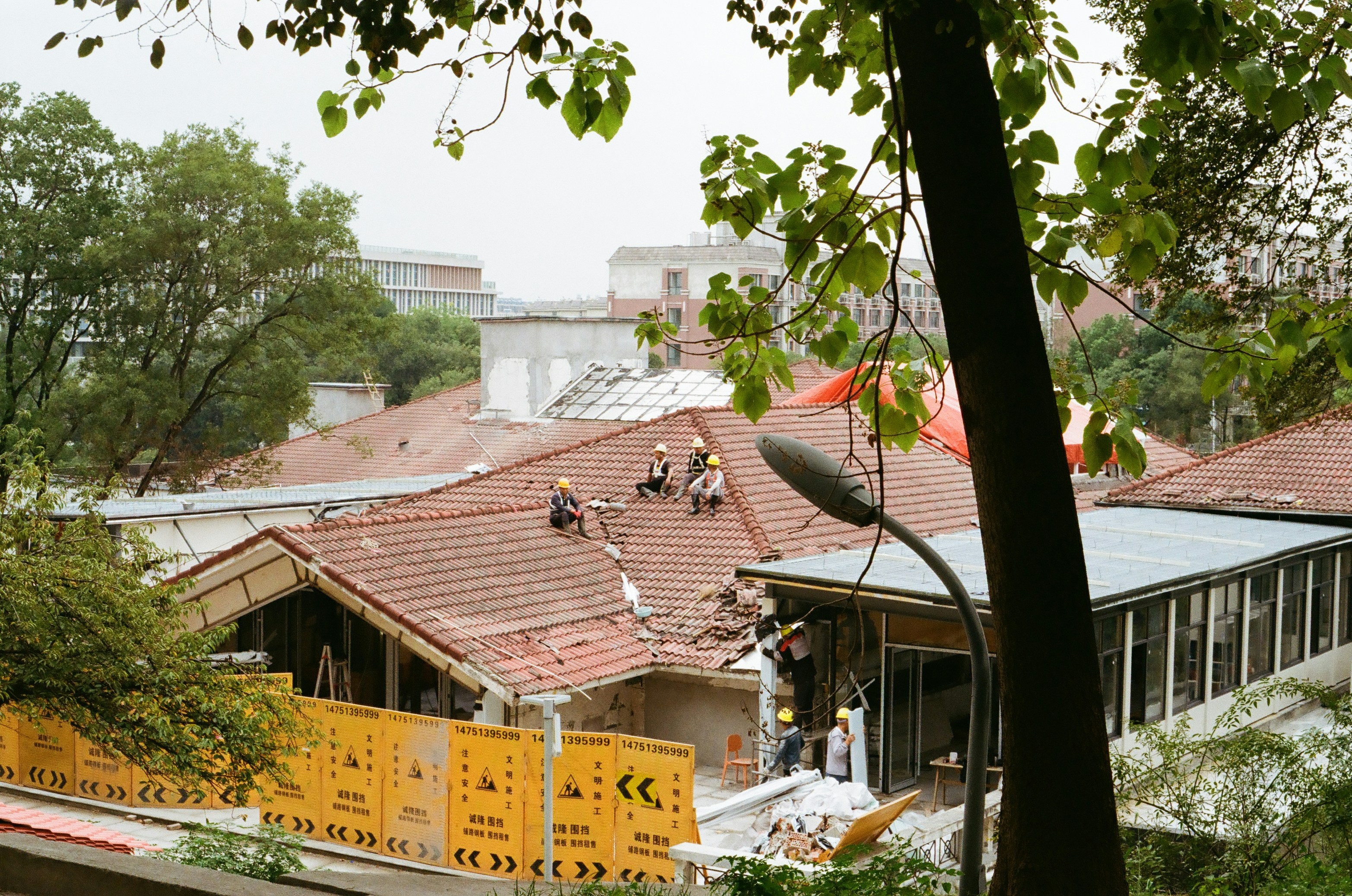 Workers repairing a tiled roof surrounded by trees and construction barriers
