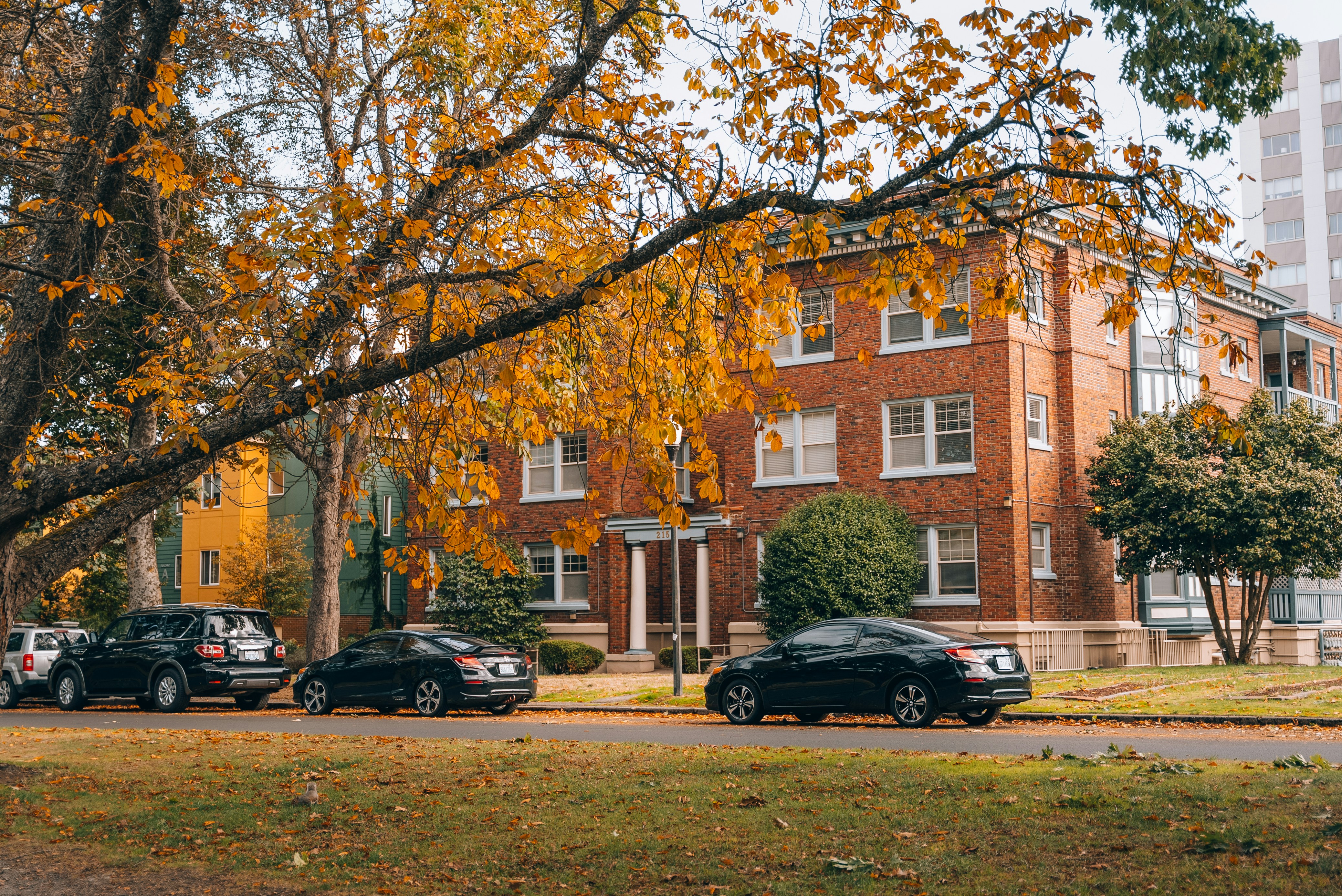 Brick apartment building with autumn trees and parked cars on the street