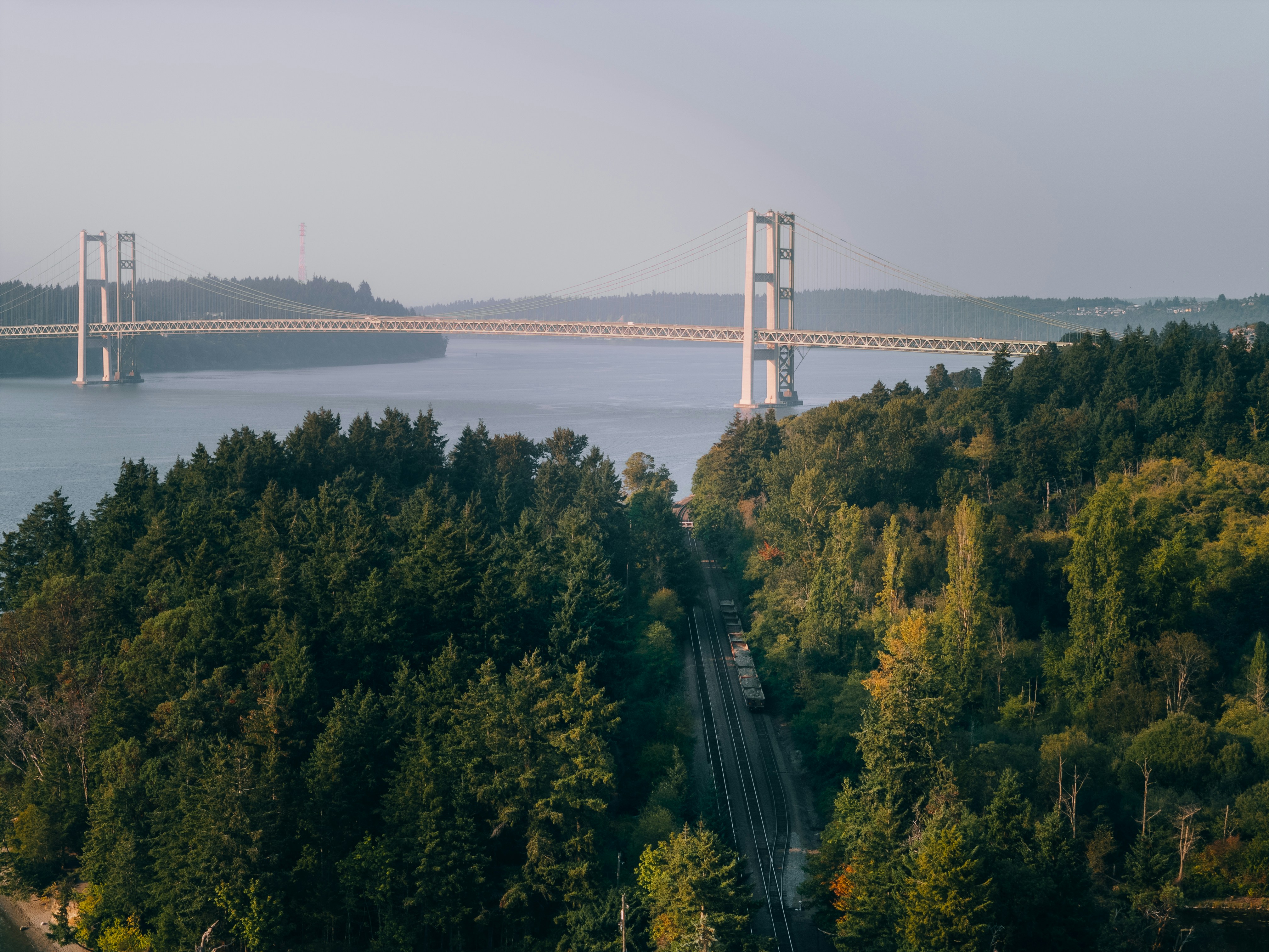 Scenic view of a bridge over a body of water with surrounding forest