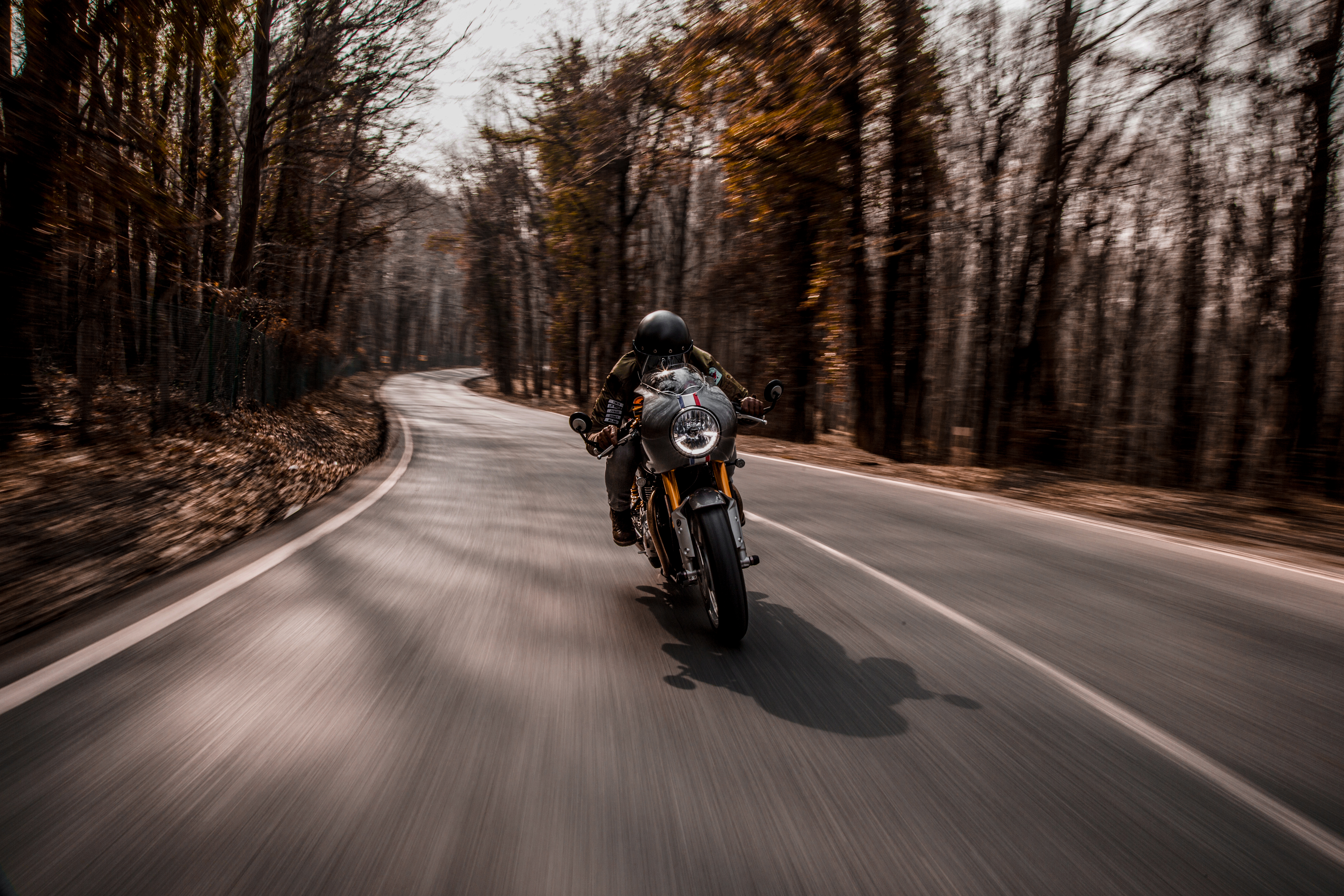 Motorcyclist riding through a winding forest road in autumn