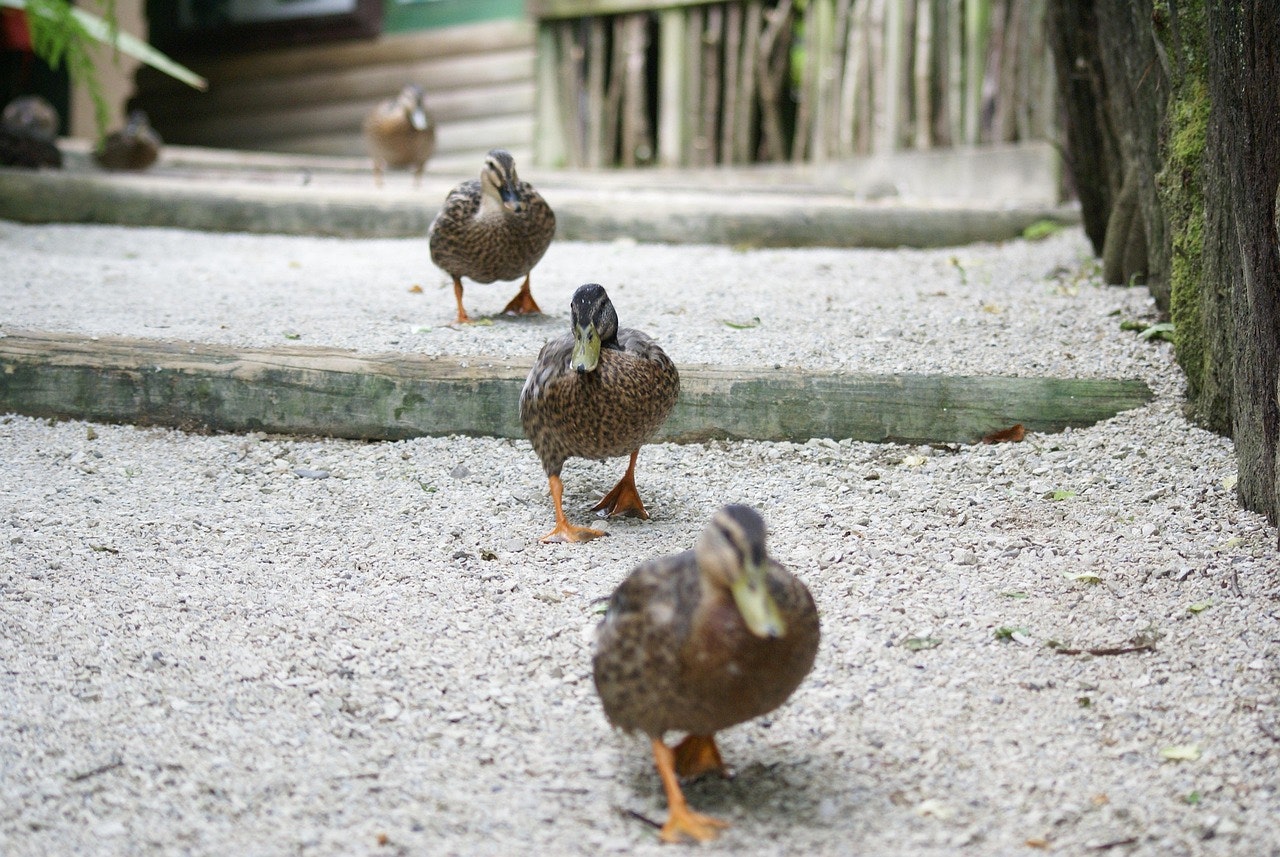 ? March 2026 at Riverview Adult Day Health Center