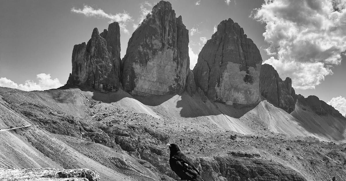 April Market Update: Stability Amid Speculation