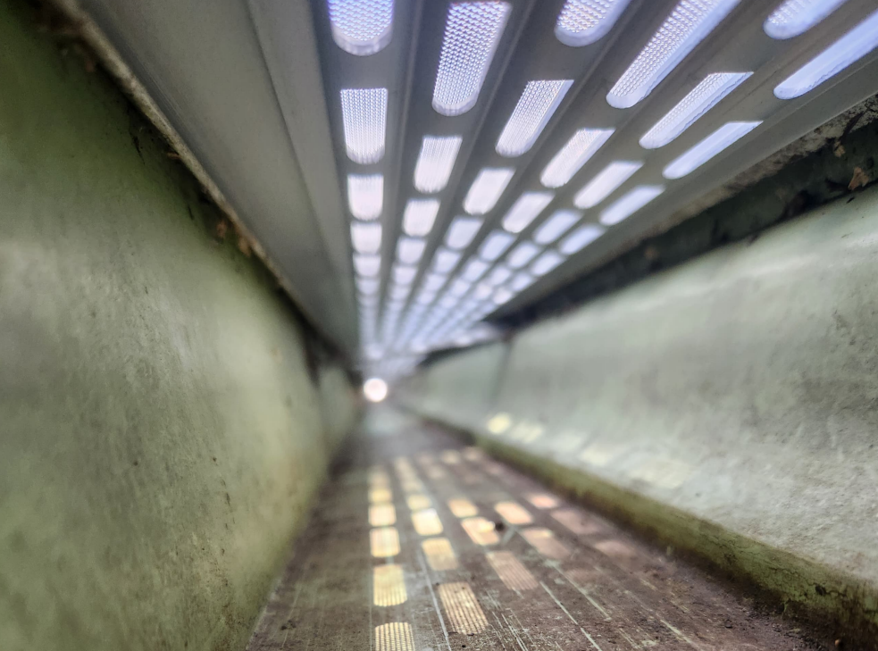 How a Thorough Gutter Clean-Out Sets You Up for Lasting Protection