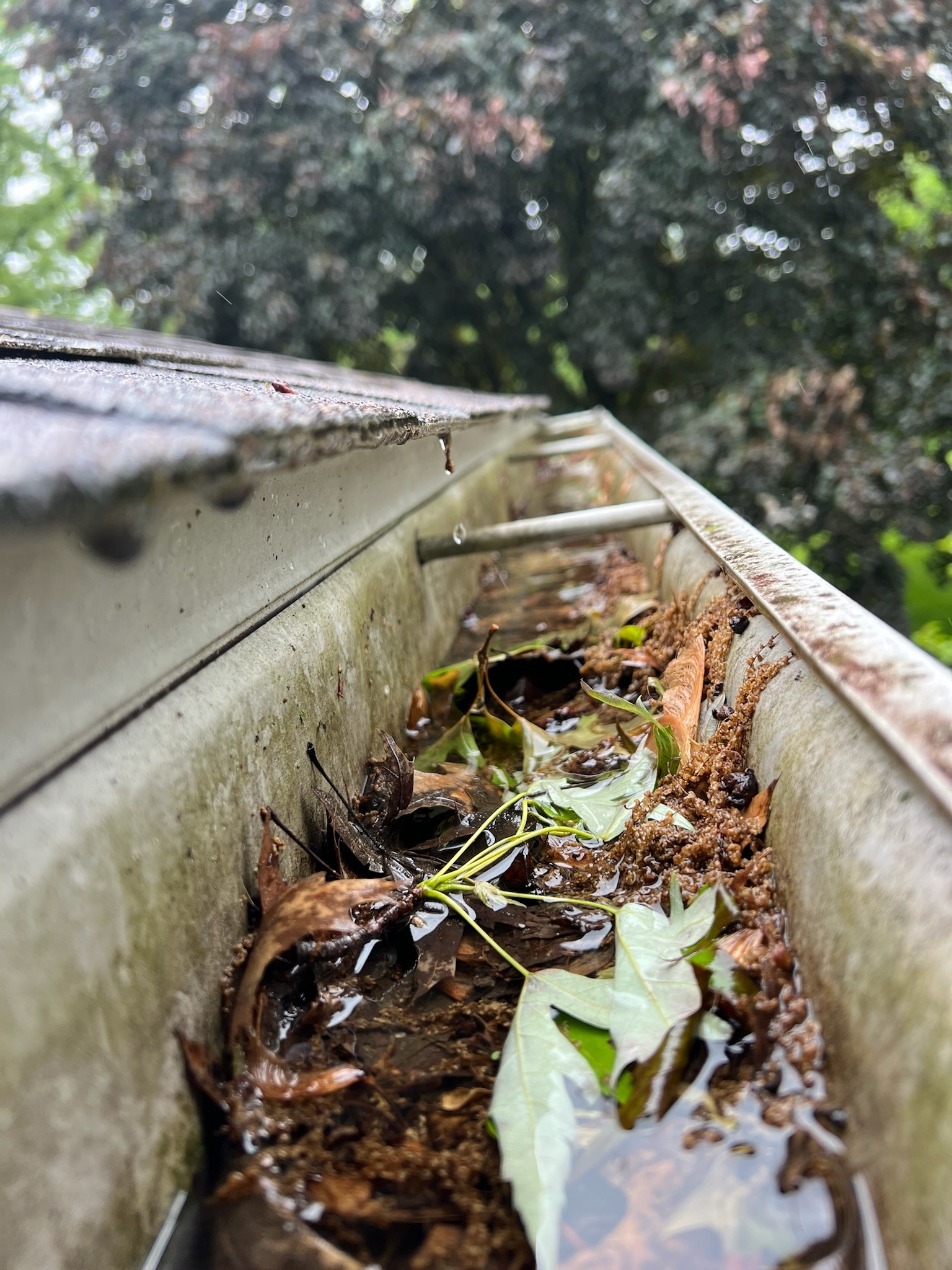 Stay Grounded: How Gutter Protection Keeps You Off the Ladder