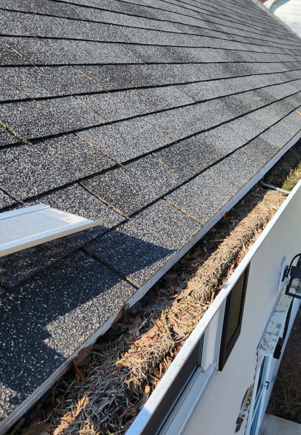 Top 5 Reasons to Install Gutter Guards Before the Leaves Fall