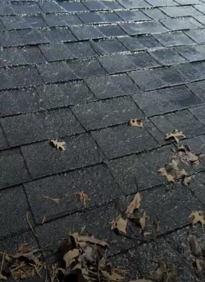 Gutter Guards and Water Conservation: Managing Rainwater Runoff