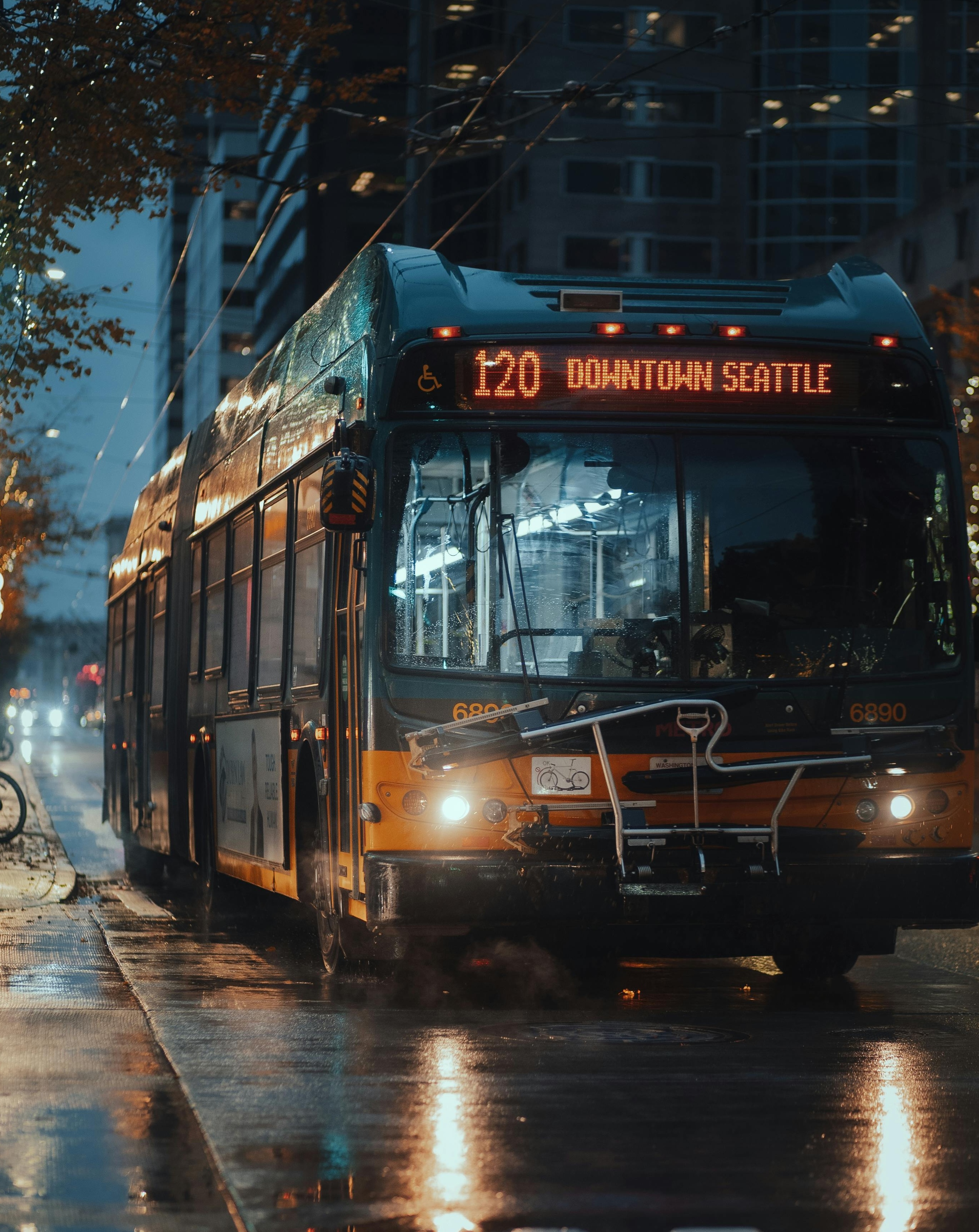 essential-steps-after-a-trucking-accident