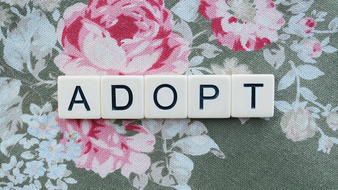 How Adoption Affects Estate Planning