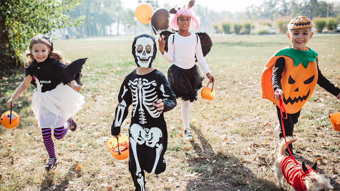 Updated Oct. 2021Halloween is one of the most exciting holidays of the year and is loved by children and adults alike. Even with the thrill of dressing up, the candy, and the scary pranks, it is...