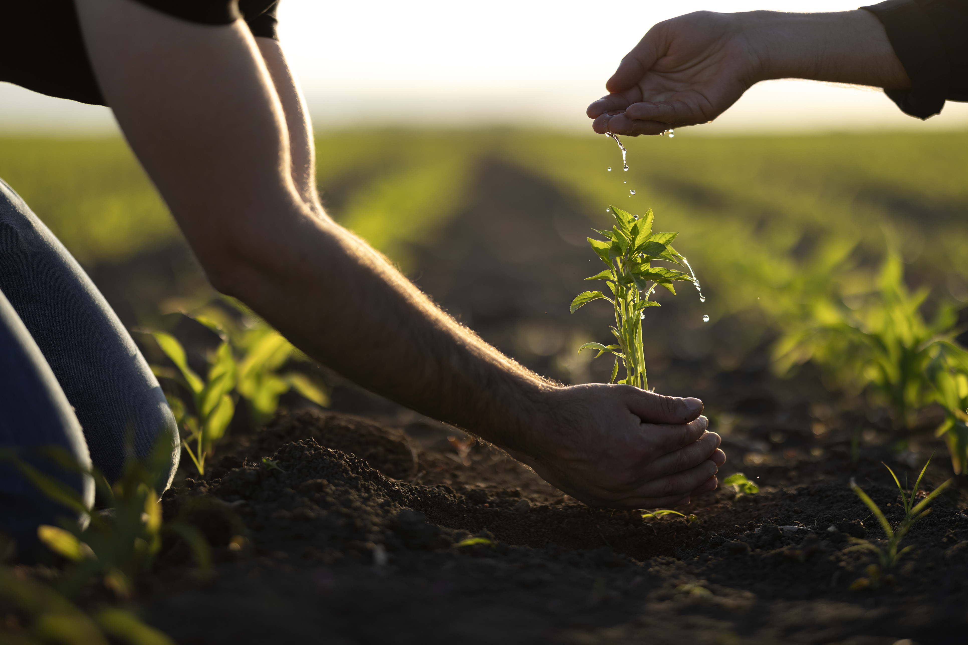 Your Nonprofit’s ROI: How to Measure and Report Impact