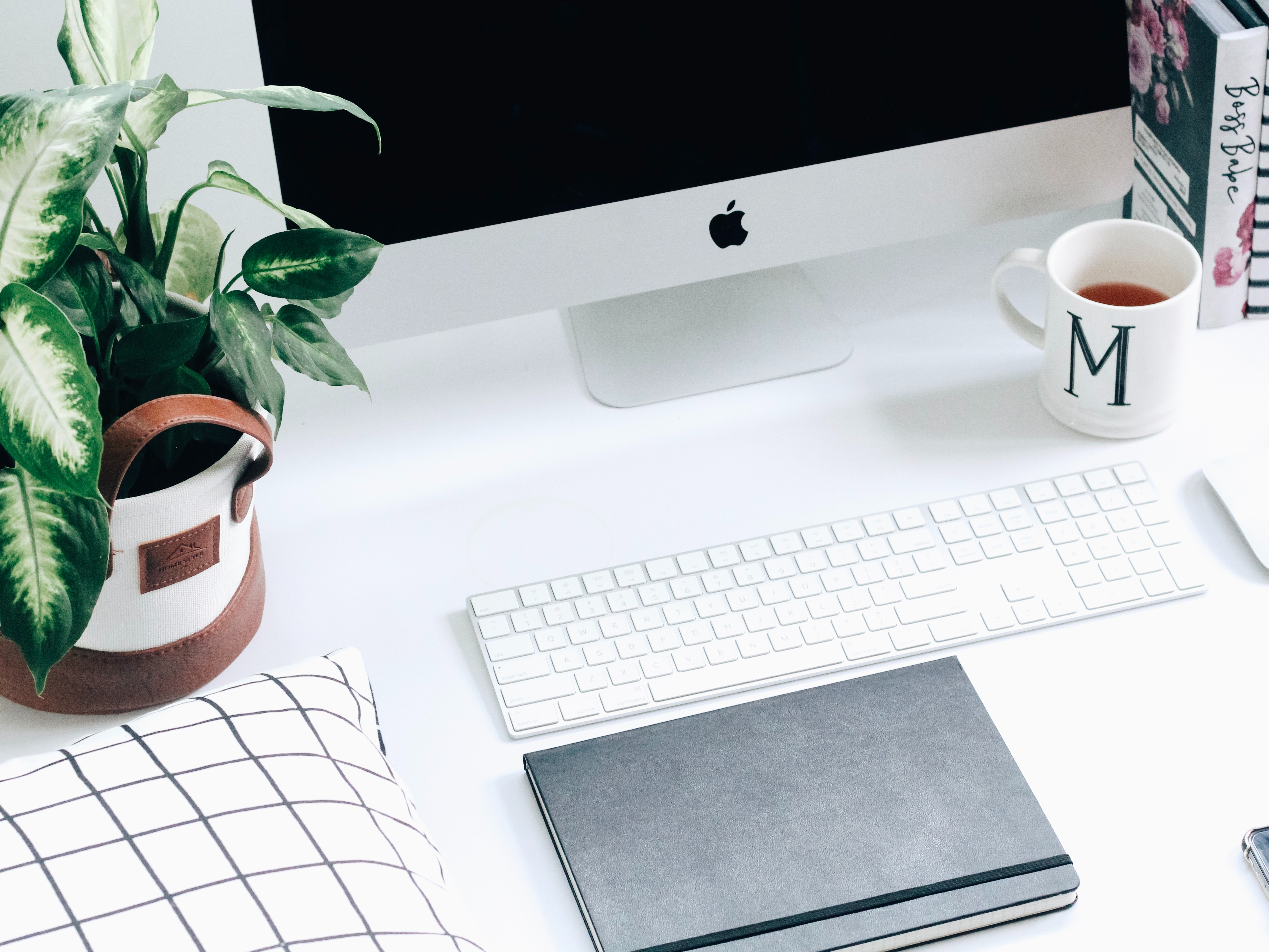 Form 990 in Plain English: What Nonprofit Leaders Need to Know Before You File 