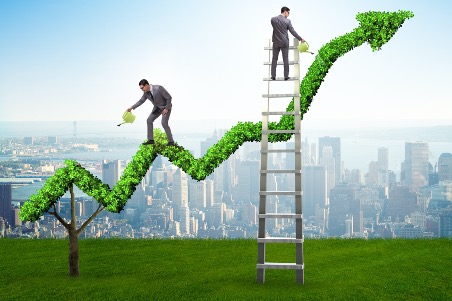 Boosting Financial Sustainability and Green Practices in Nonprofits