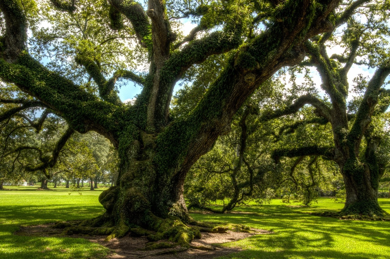 Tort Reform – Major Changes to Louisiana Law Affecting Injury Claims