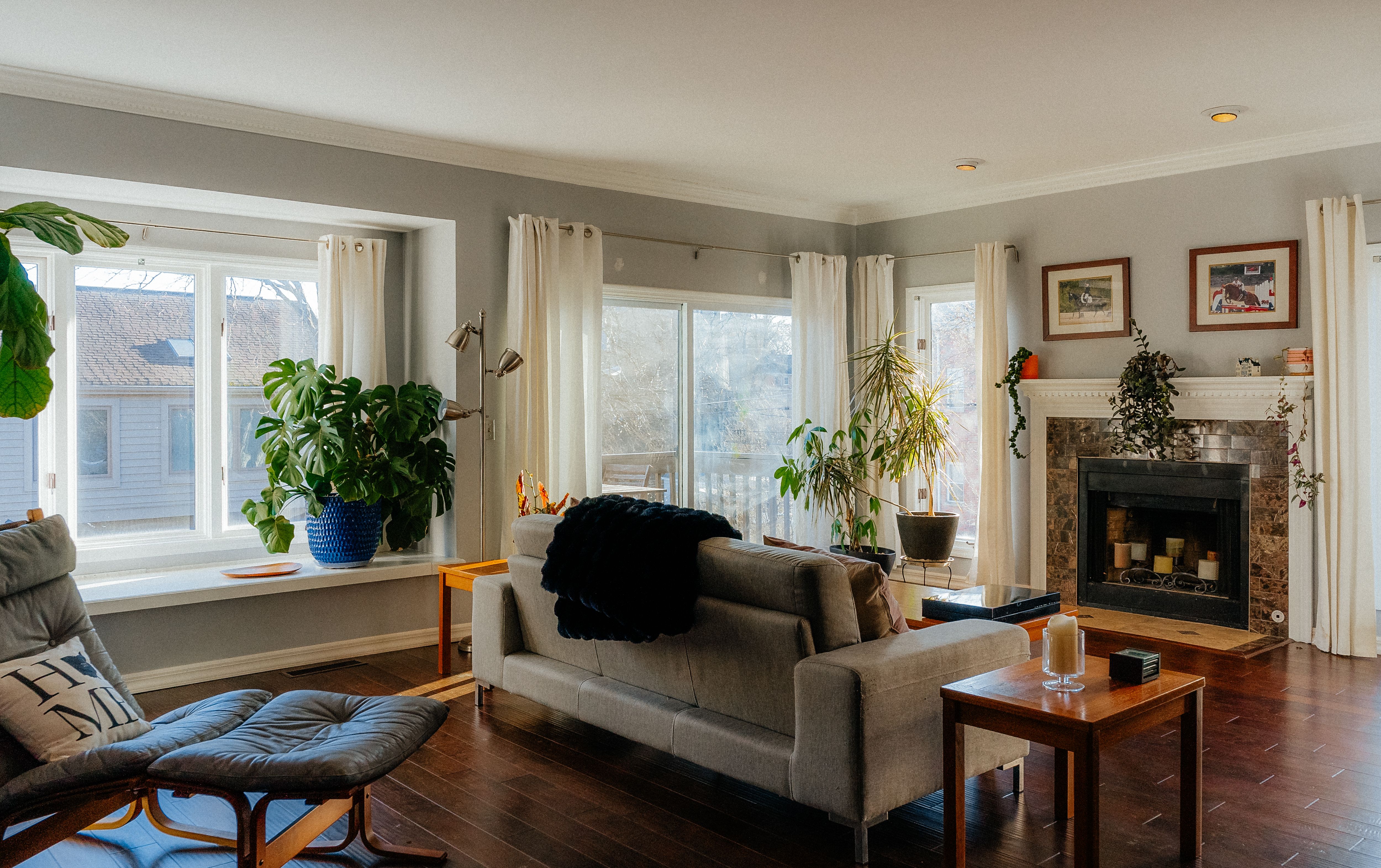 Cozy living room with large windows, plants, and a fireplace