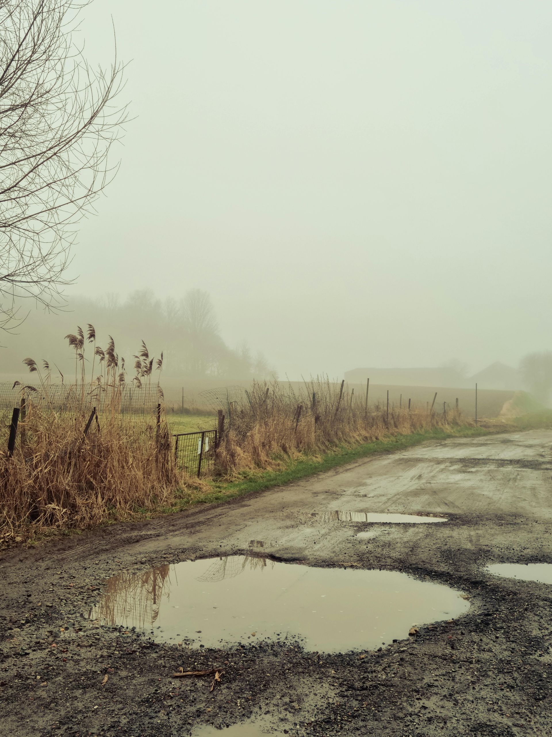 Potholes - Who is Liable?