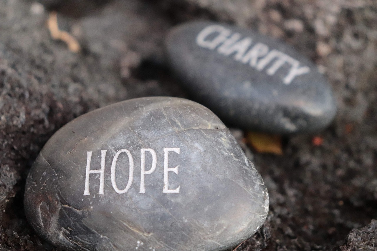 Questions You Must Ask Before Donating to a Charity