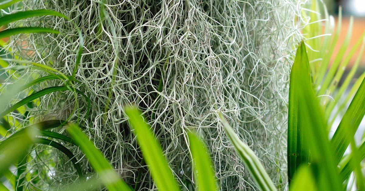 Suwanee Magazine Highlights Creative Enterprise's 40 Year Legacy