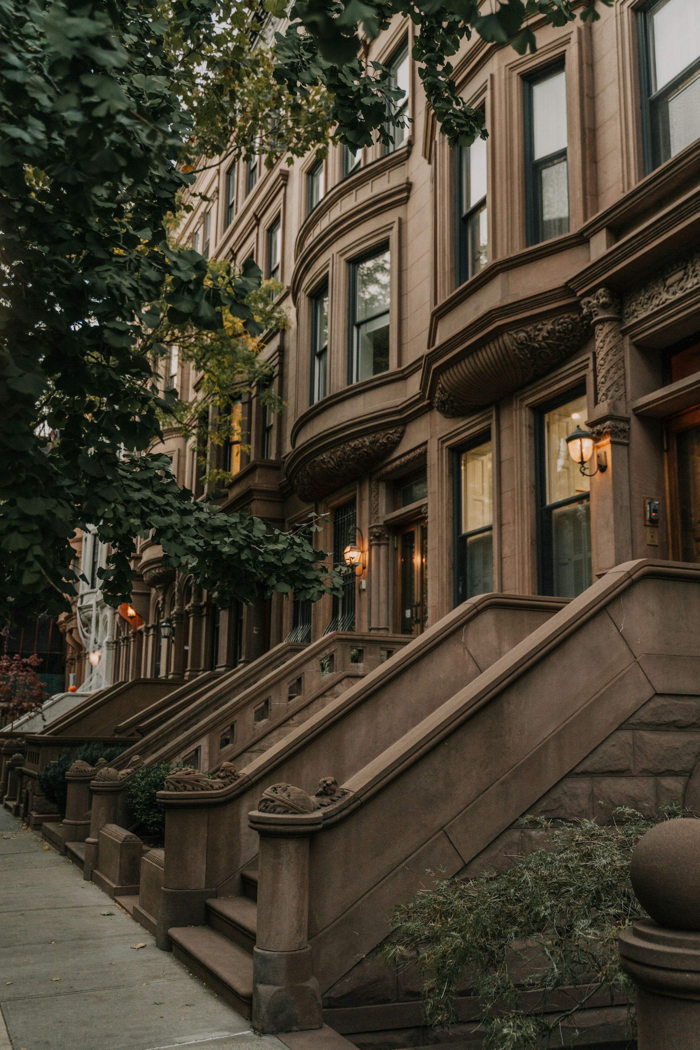 Row of historic brownstone buildings with stoops and trees lining the sidewalk