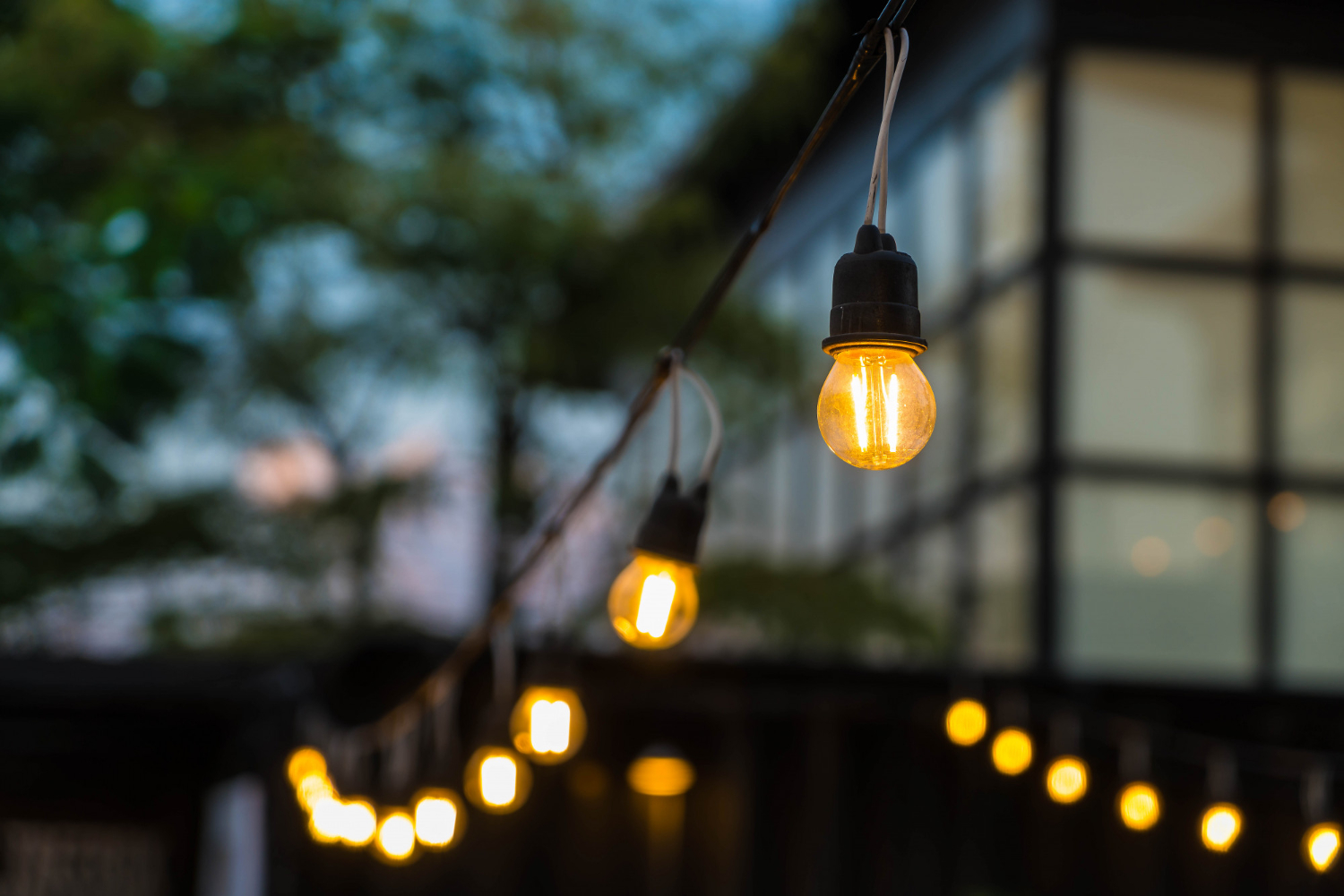 Mastering Landscape Lighting in Austin: Uplights and More
