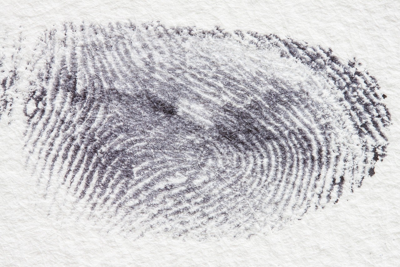 What Happens at a First Appearance in New Mexico Criminal Cases
