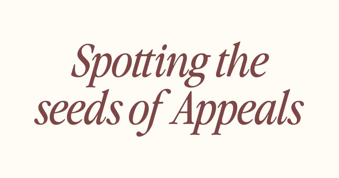Spotting the Seeds of Appeal: A Paralegal’s Guide to Protecting the Record
