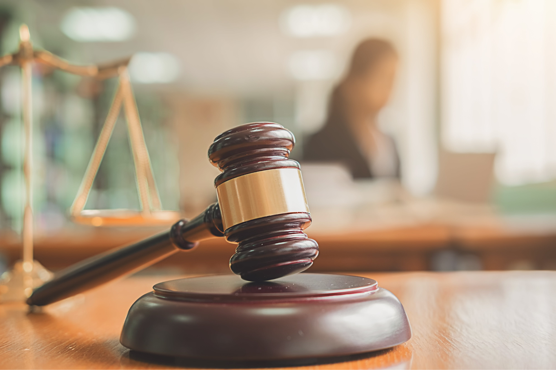 When Silence Breaks the Law: Mandamus Claims for FOIA Delays in Immigration Cases