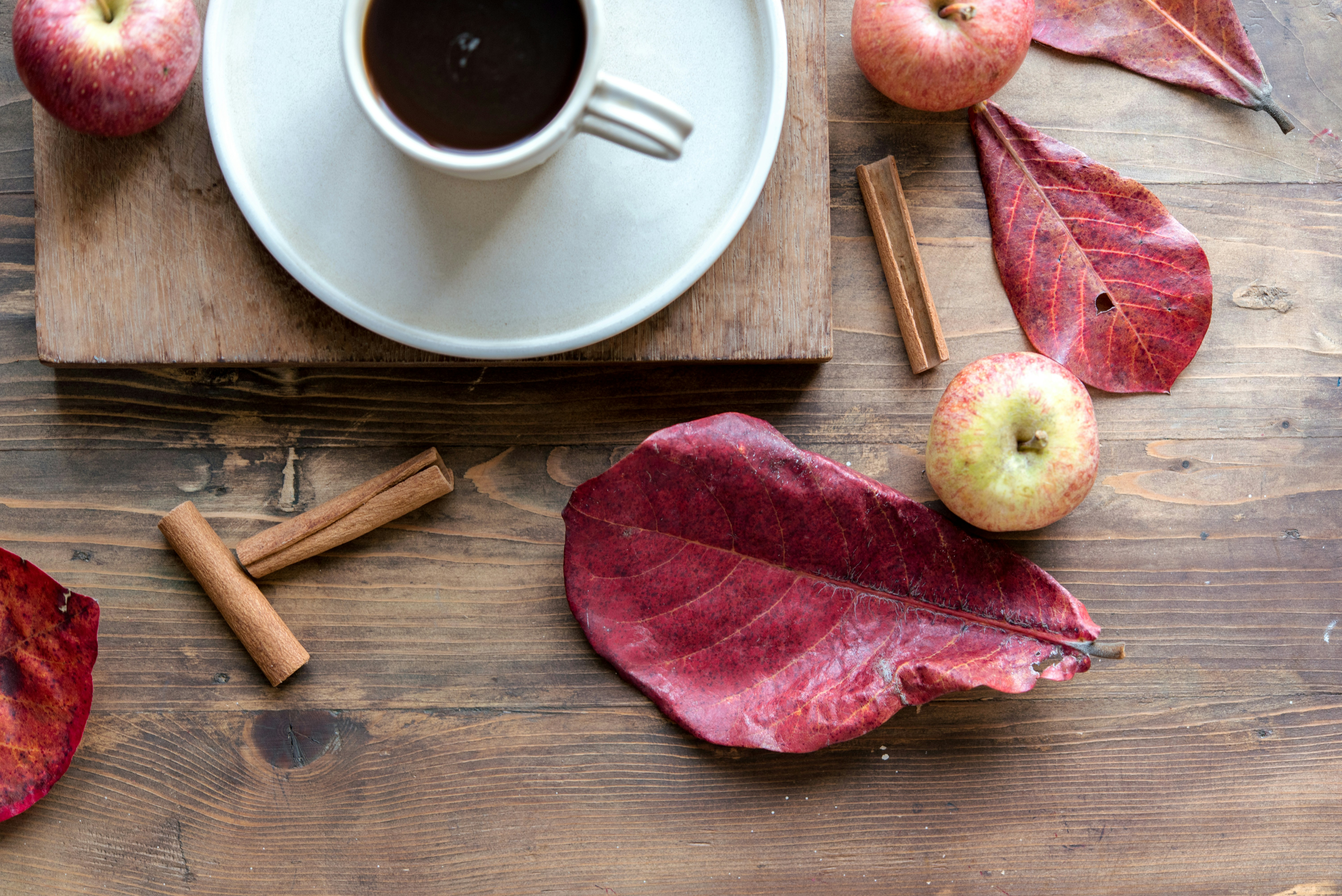 Preparing for Fall with Chinese Medicine