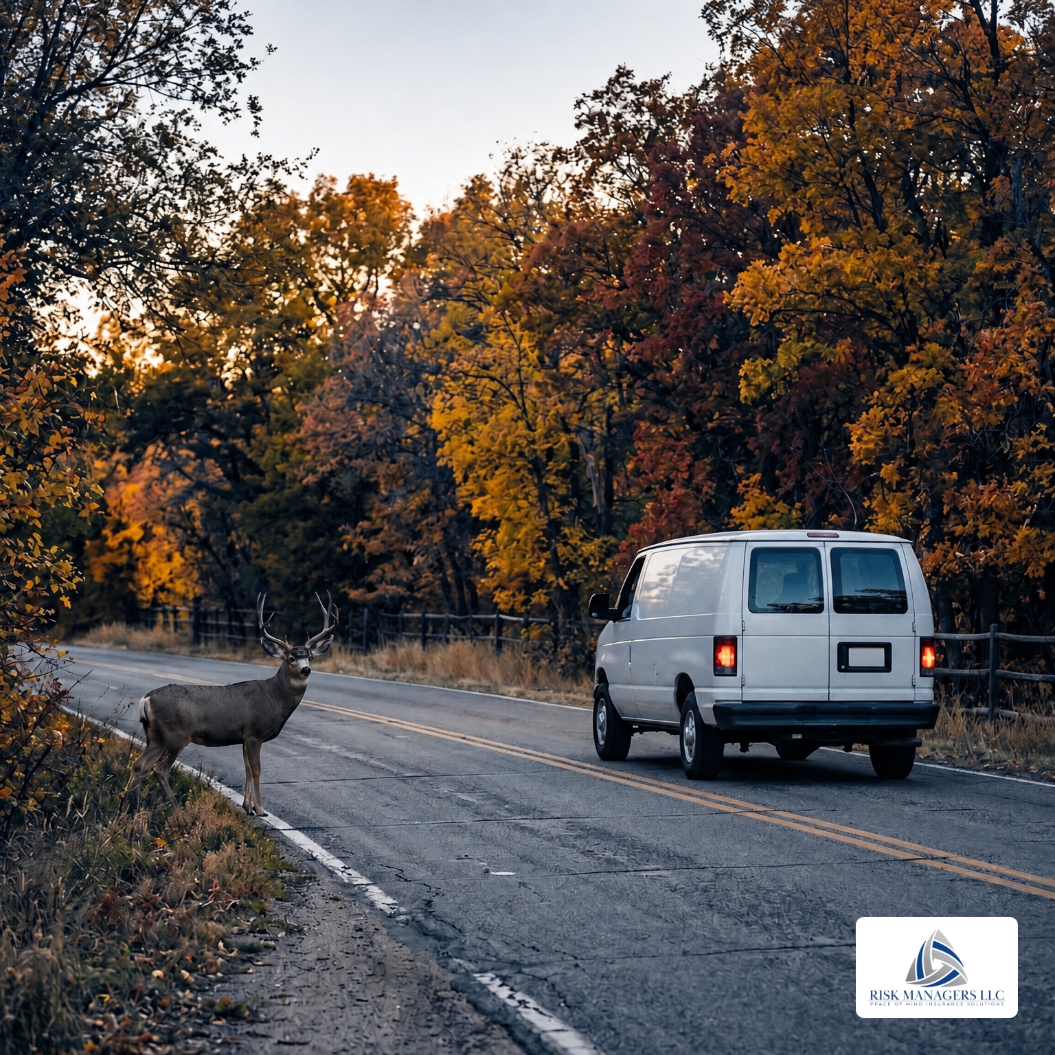 Fall Deer Collision Safety Tips for Commercial Drivers