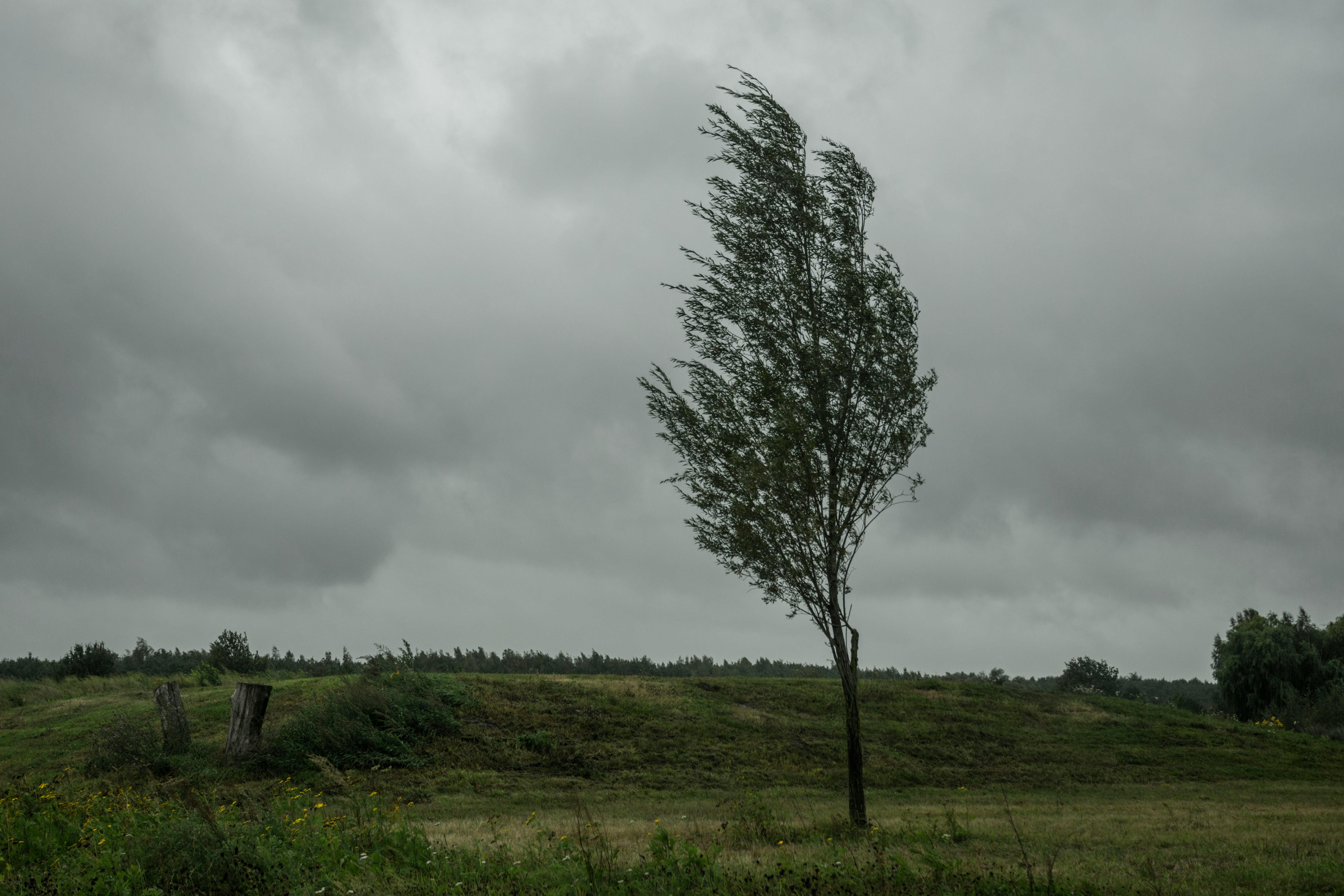 A Windstorm Rider