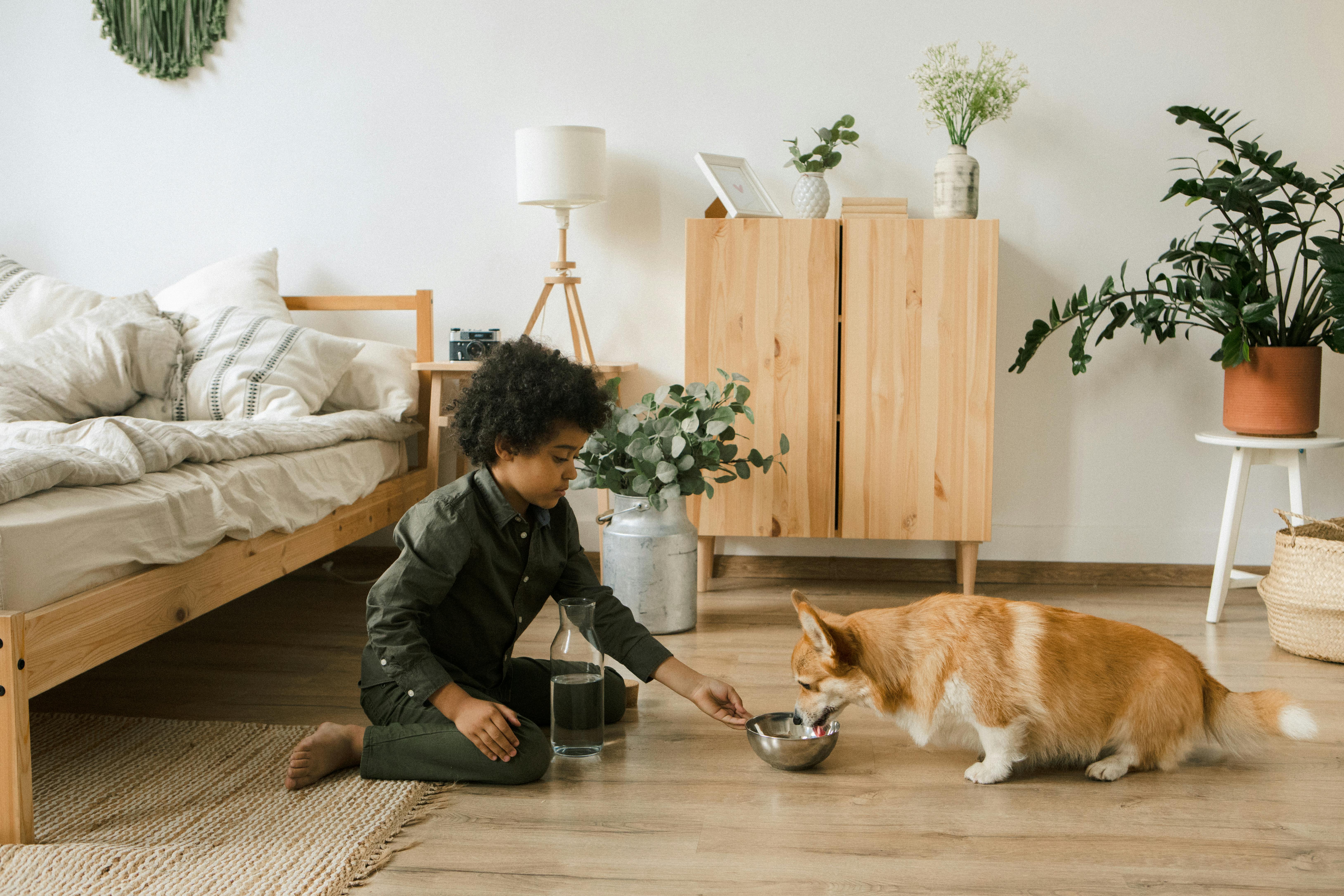 Is Your Four-Legged Friend Increasing Your Insurance Rates