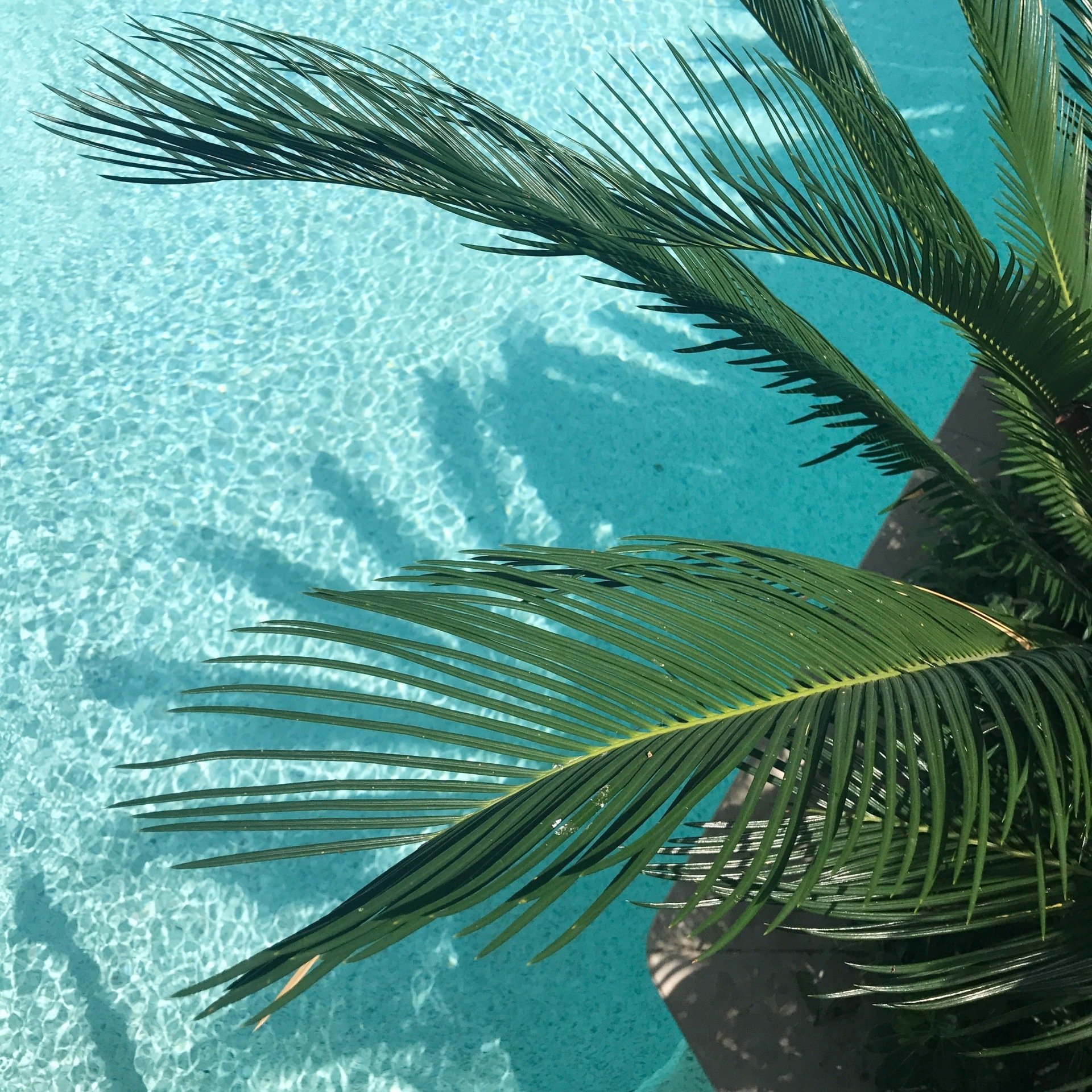 Insuring Your Favorite Summer Pastimes