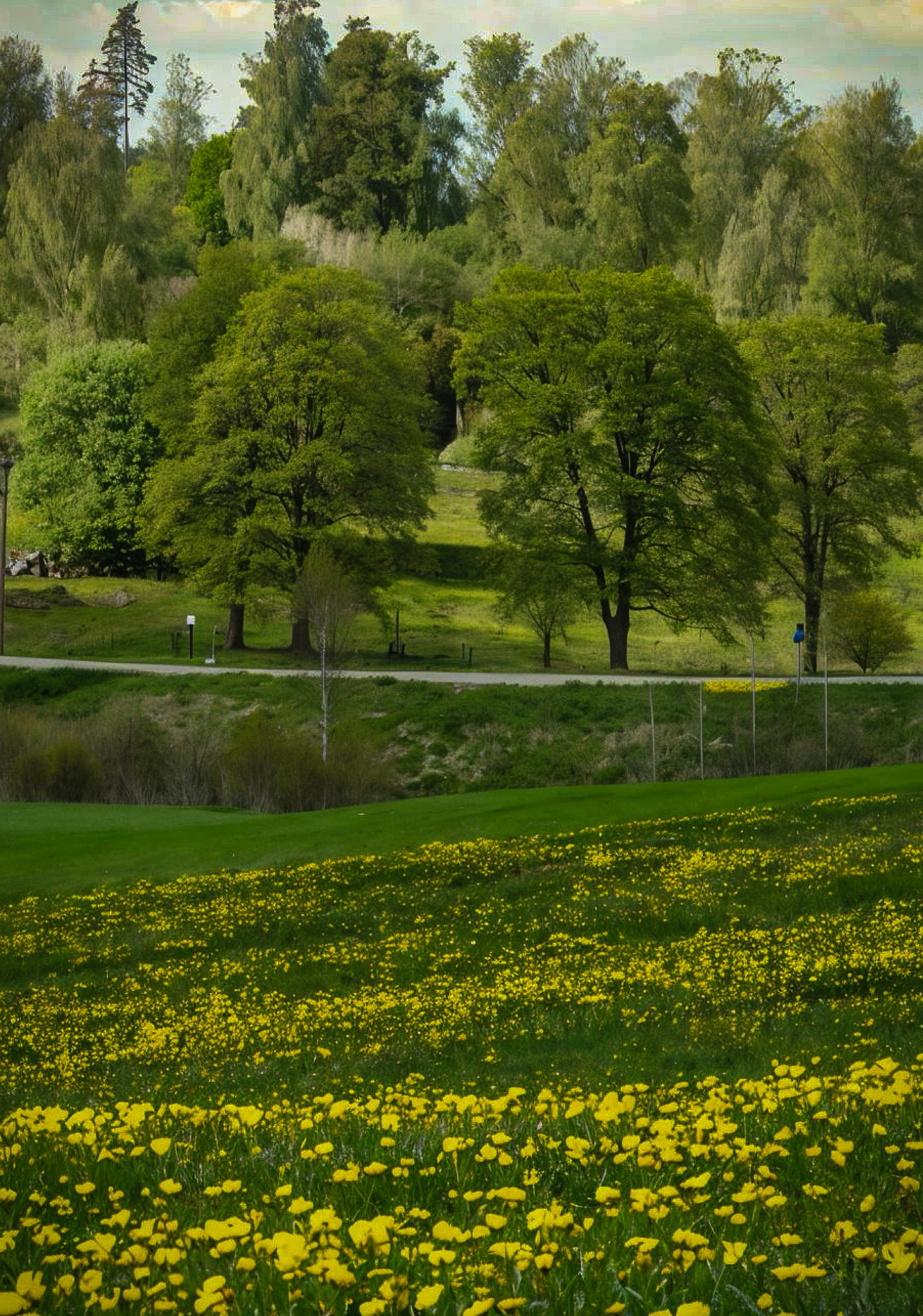 Enjoy a Care-Free Spring with Flood Insurance in Melbourne
