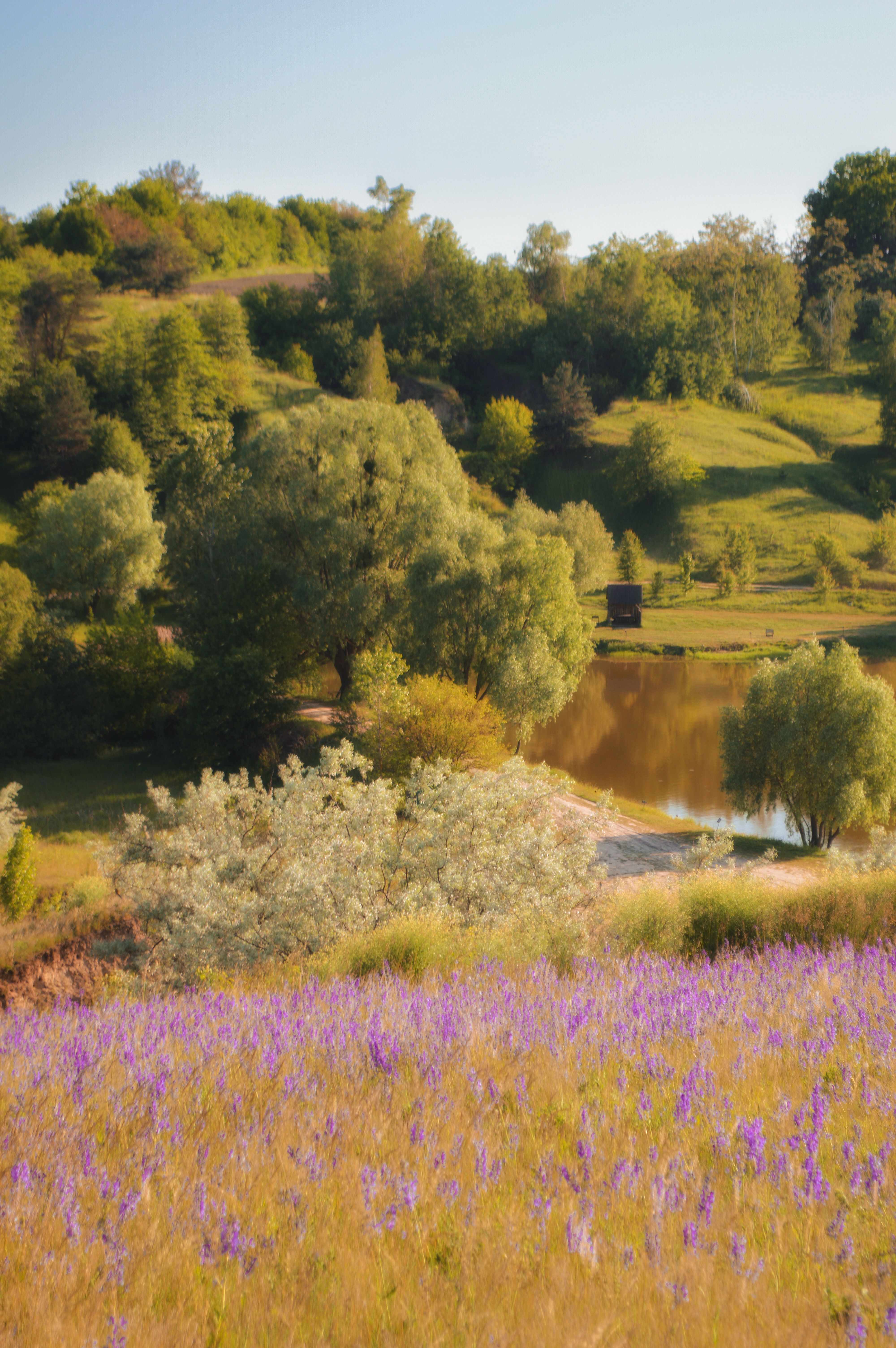 Relax this Spring Knowing Your Cart Is Covered