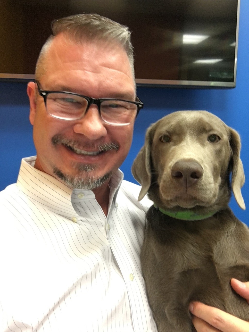 Buying Pet Insurance