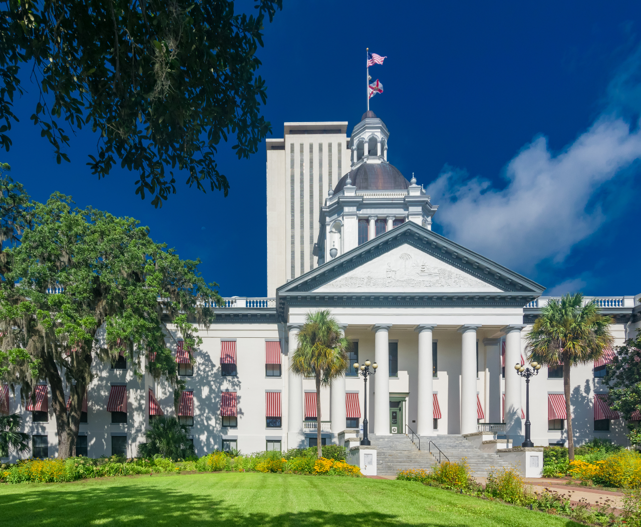 AAAS Florida Capitol Day: Your Chance to Advocate in Tallahassee
