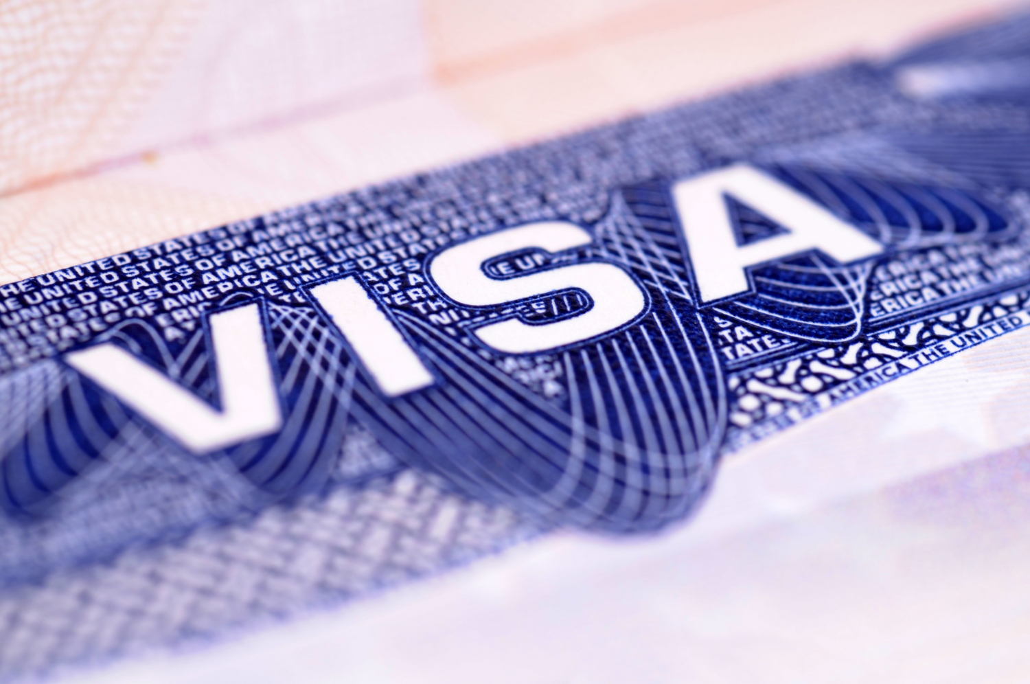 Comparing Common Employment & Investor Visa Options: A Plain‑Language Guide for Florida Professionals and Families
